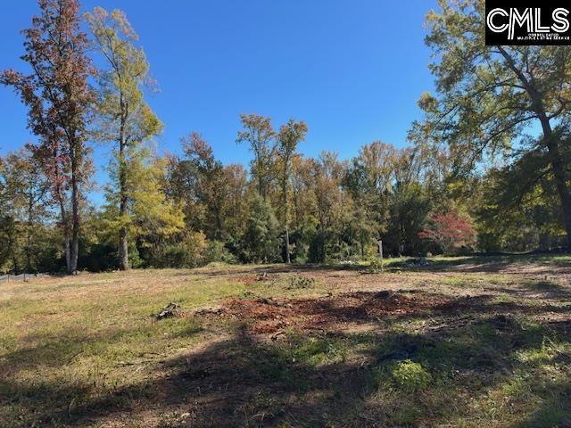 417 Craftsman Court UNIT #9 Lexington, SC 29072