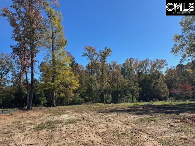417 Craftsman Court UNIT #9 Lexington, SC 29072