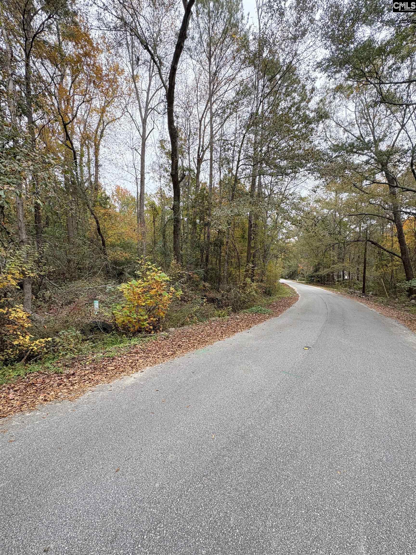 1031 Pineland Drive Columbia, SC 29203