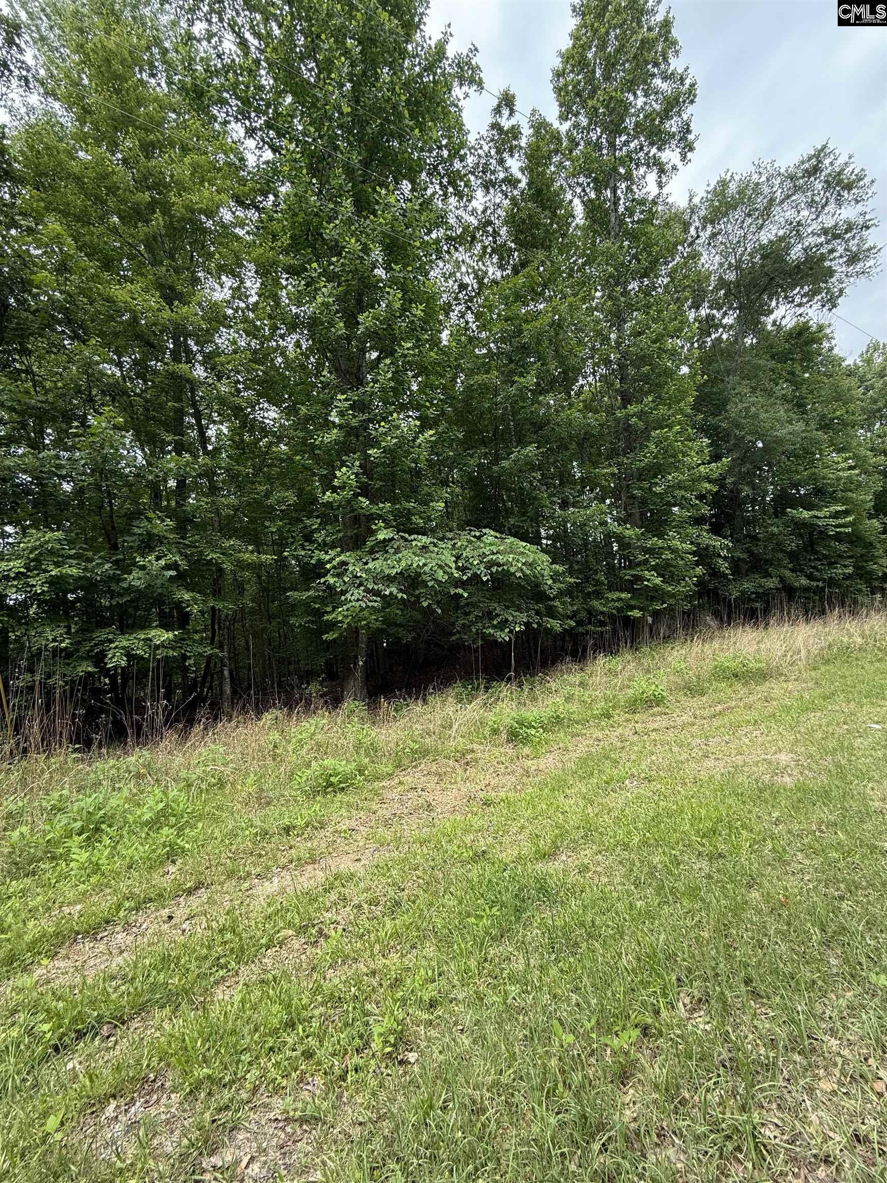 3111 Catawba Road UNIT #8 Great Falls, SC 29055