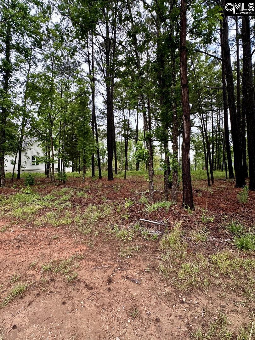 513 Misty Banks Drive UNIT Lot 3 Chapin, SC 29036