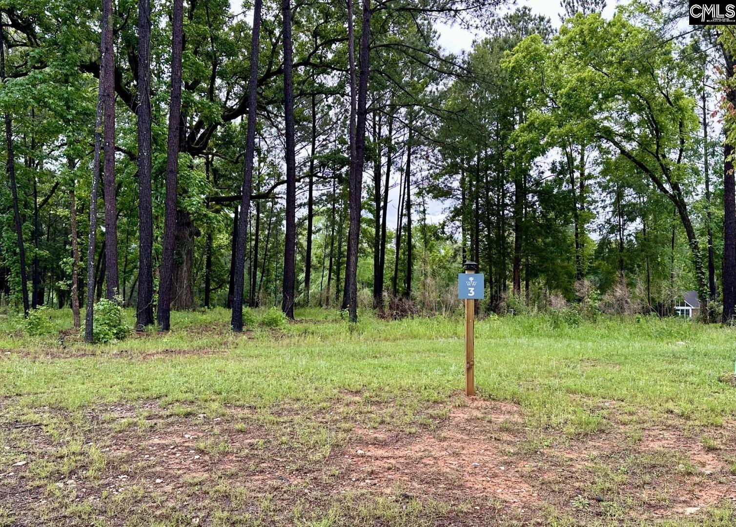 513 Misty Banks Drive UNIT Lot 3 Chapin, SC 29036