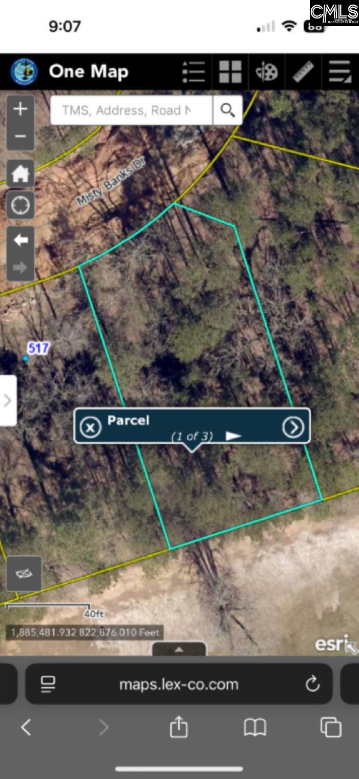513 Misty Banks Drive UNIT Lot 3 Chapin, SC 29036