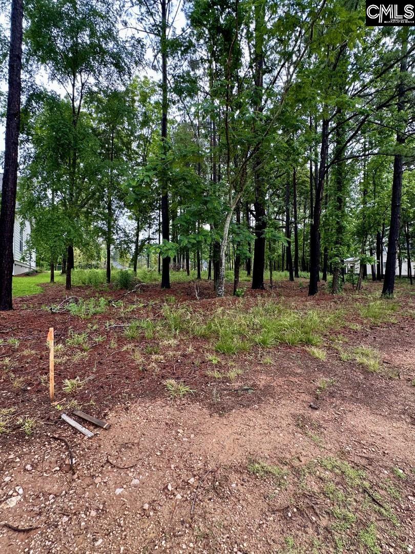 513 Misty Banks Drive UNIT Lot 3 Chapin, SC 29036