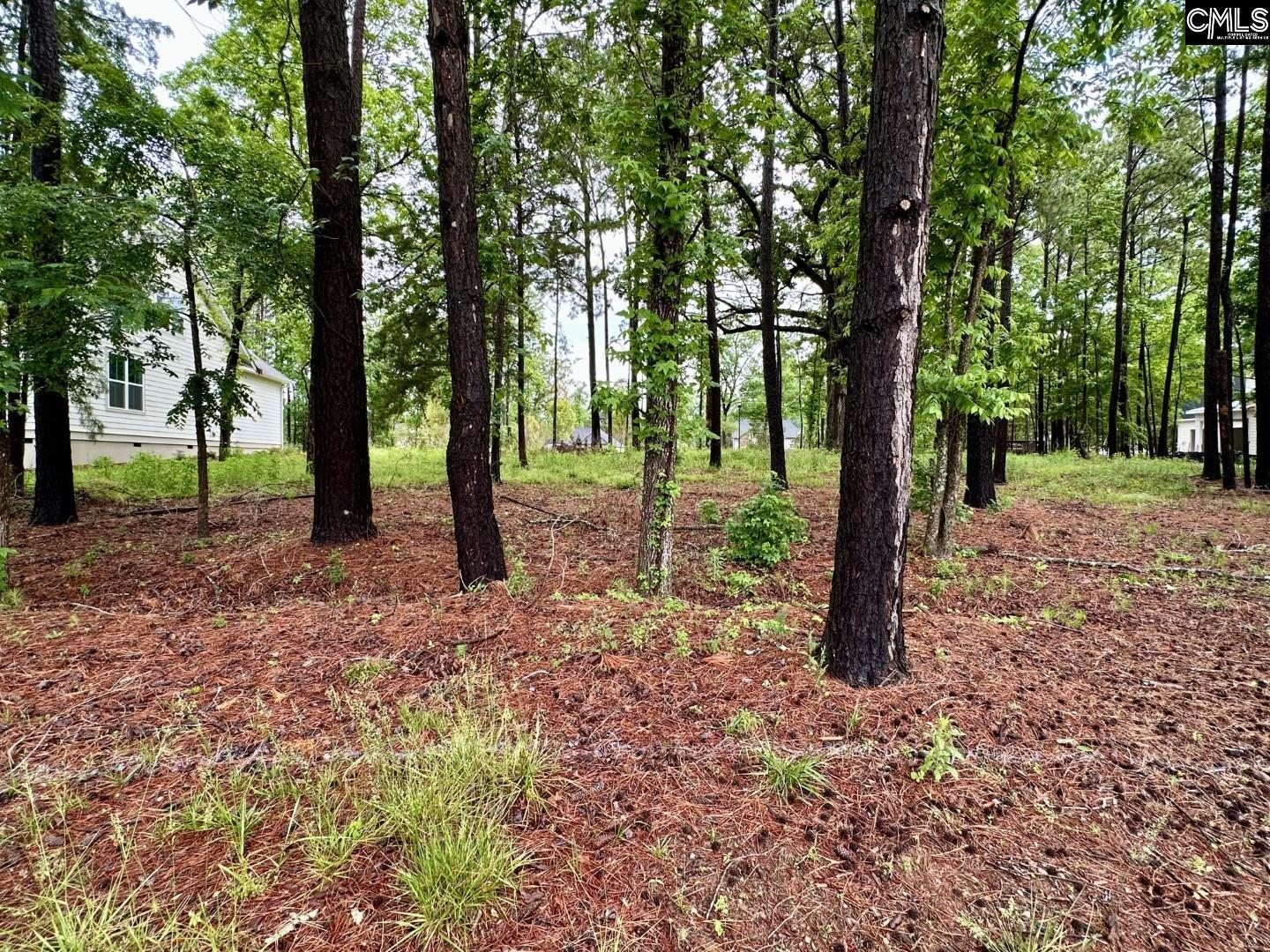 513 Misty Banks Drive UNIT Lot 3 Chapin, SC 29036