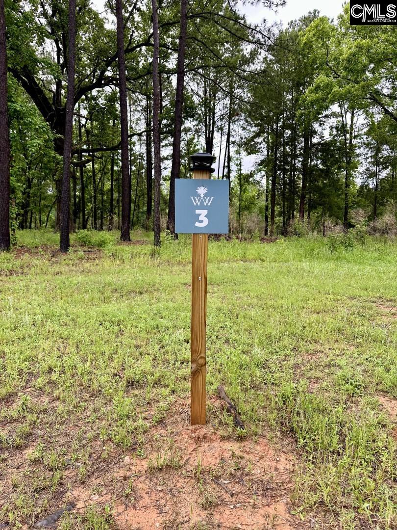 513 Misty Banks Drive UNIT Lot 3 Chapin, SC 29036