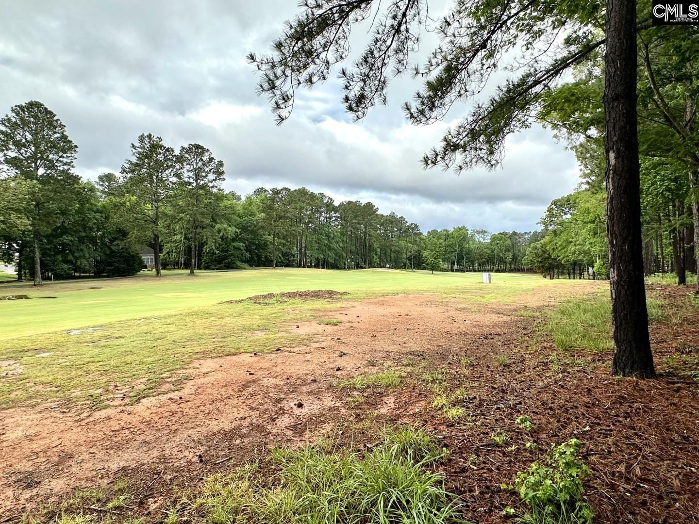 513 Misty Banks Drive UNIT Lot 3 Chapin, SC 29036