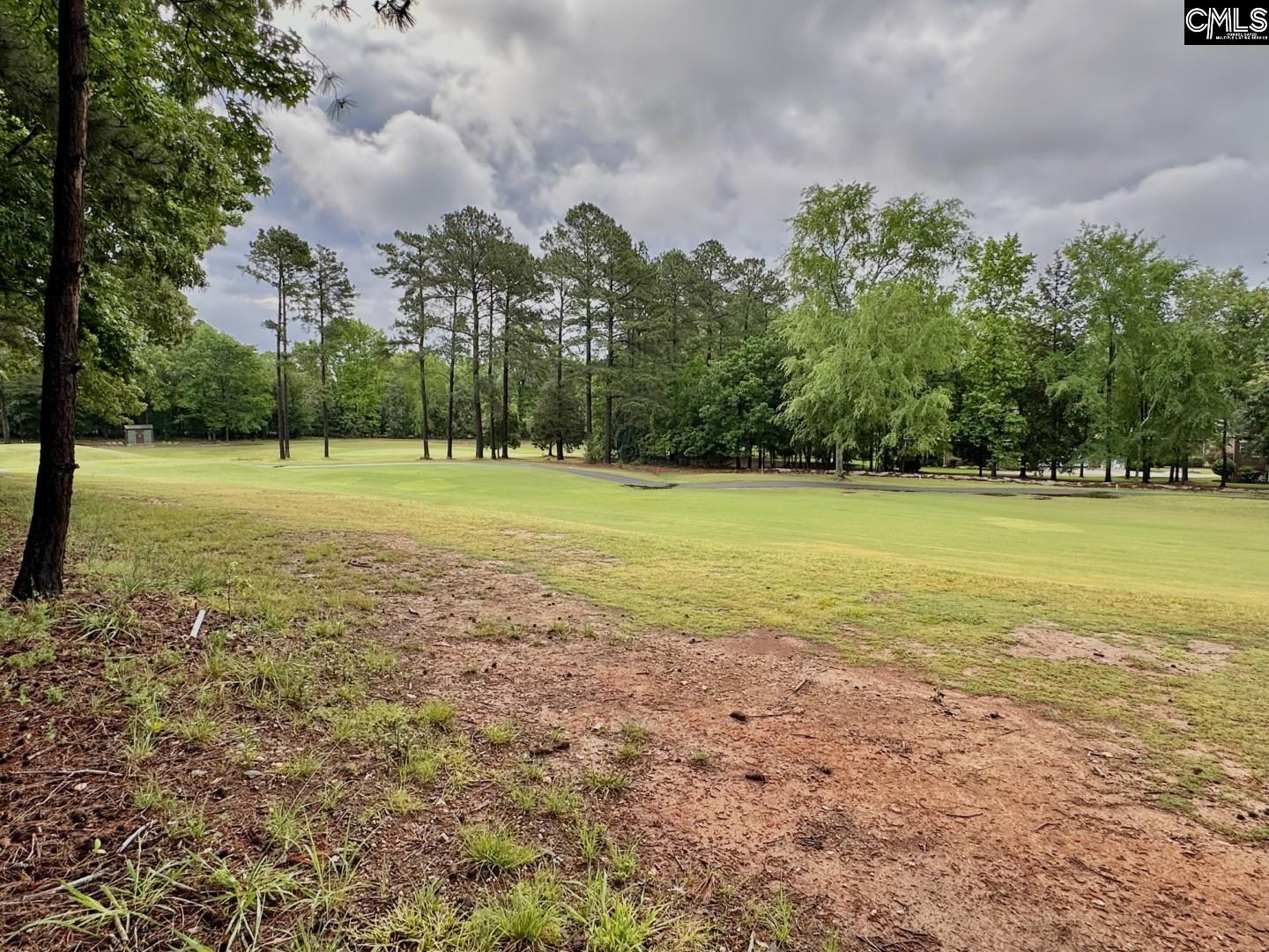513 Misty Banks Drive UNIT Lot 3 Chapin, SC 29036