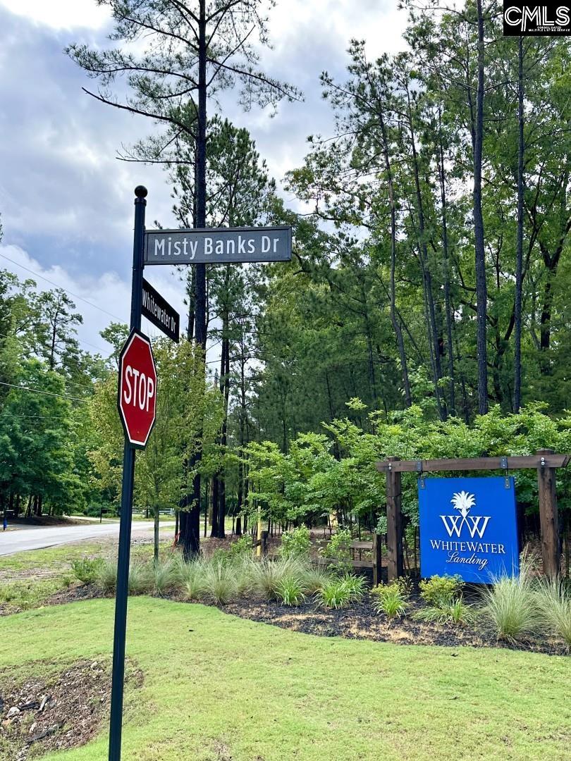 513 Misty Banks Drive UNIT Lot 3 Chapin, SC 29036