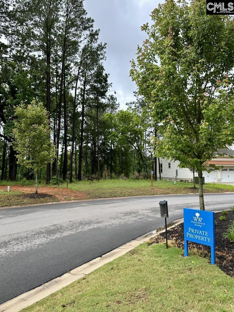 513 Misty Banks Drive UNIT Lot 3 Chapin, SC 29036