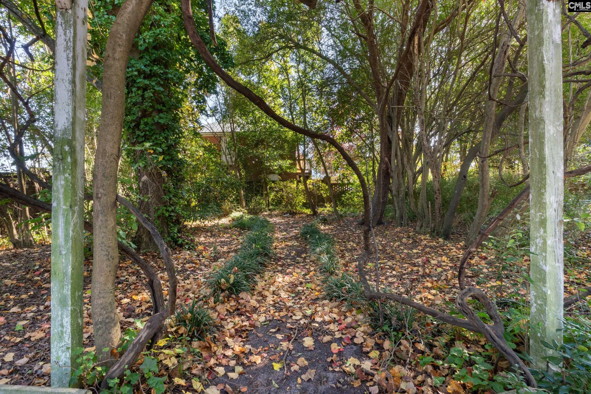 Image 65