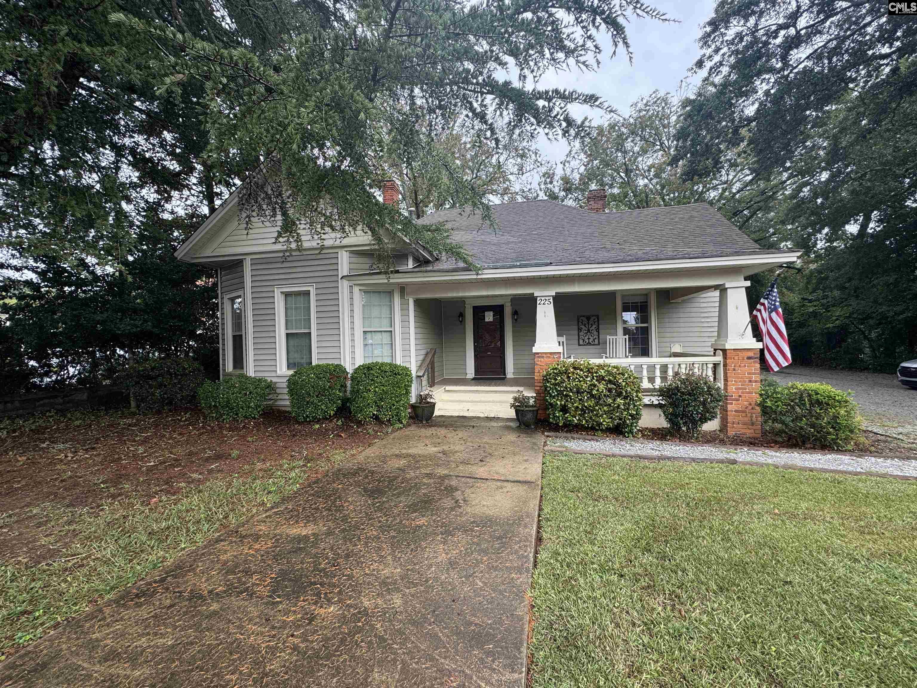 225 Columbia Avenue Chapin, SC 29036