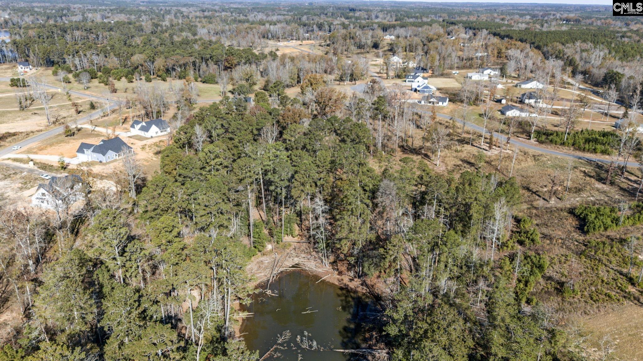 Woodside Shores Drive UNIT Lot 9 Prosperity, SC 29127