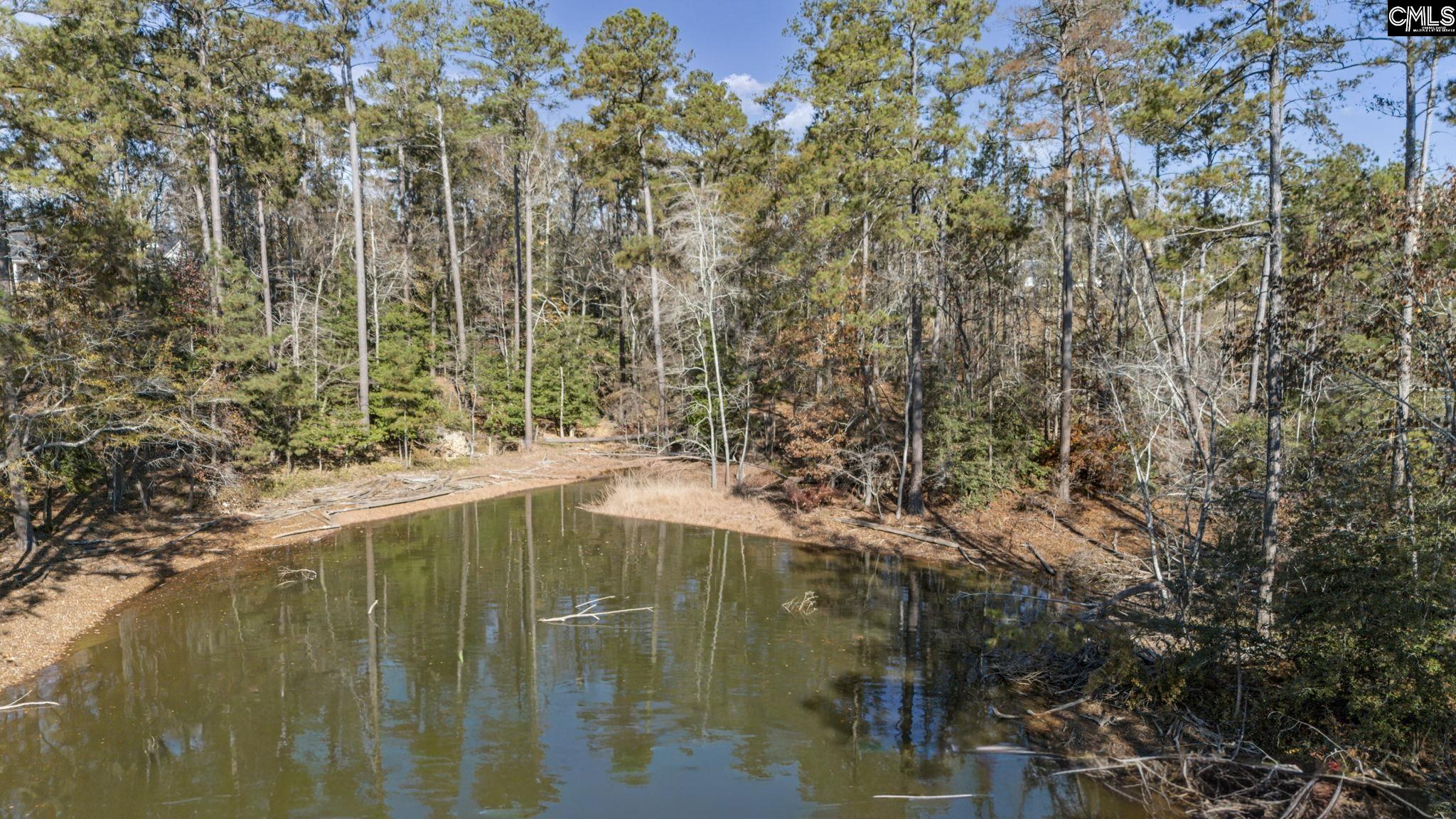 Woodside Shores Drive UNIT Lot 9 Prosperity, SC 29127