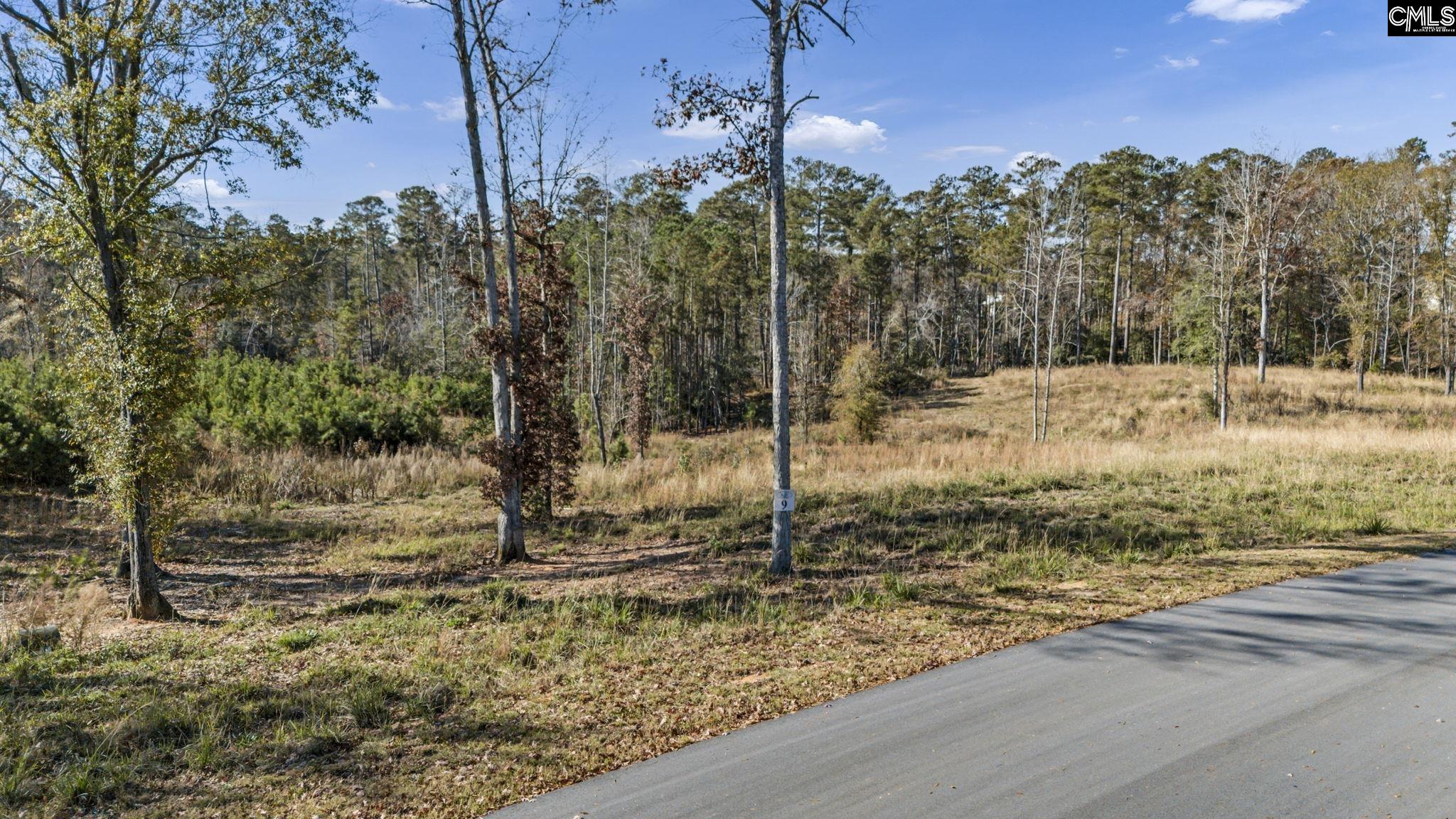 Woodside Shores Drive UNIT Lot 9 Prosperity, SC 29127
