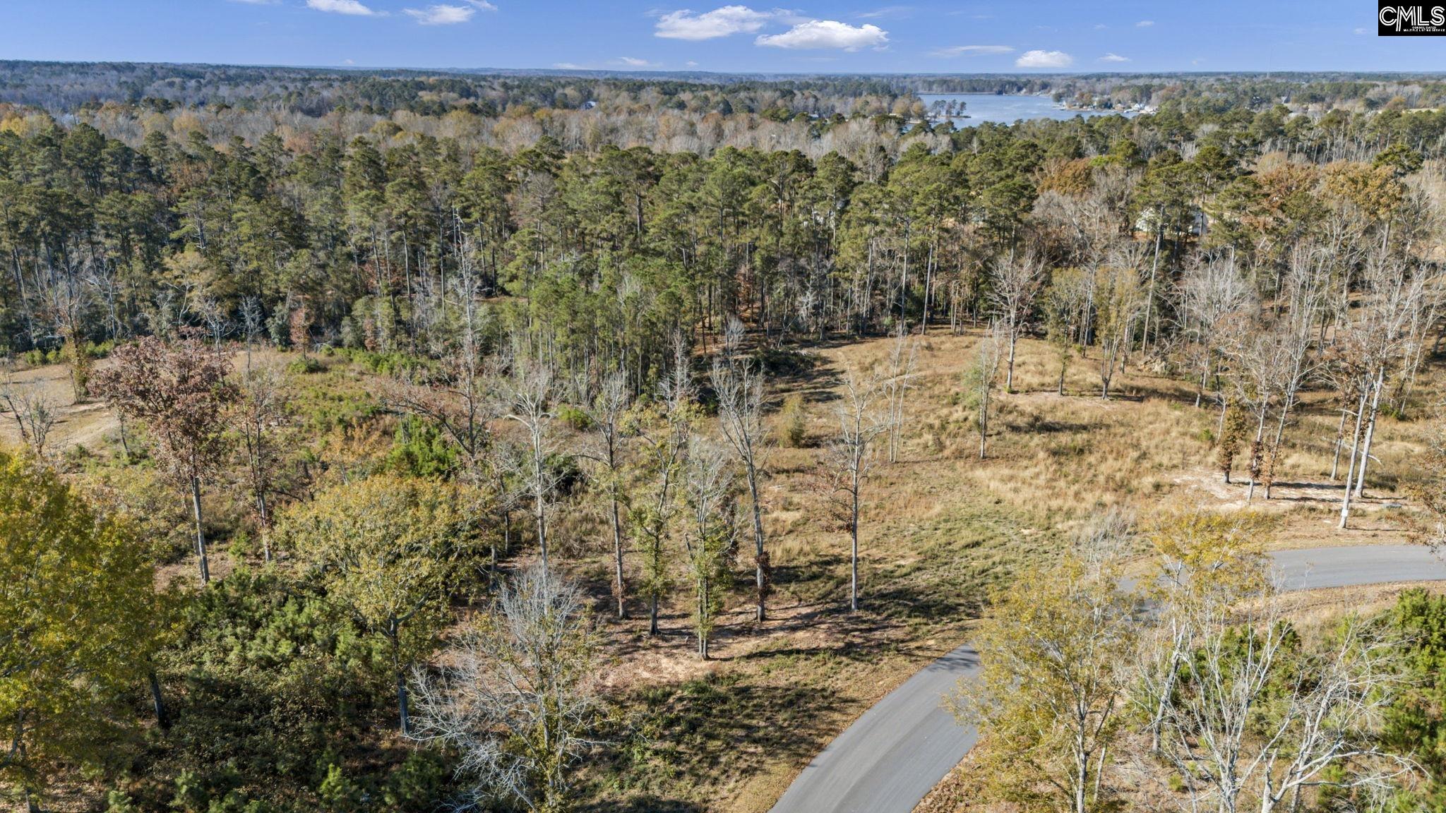 Woodside Shores Drive UNIT Lot 9 Prosperity, SC 29127