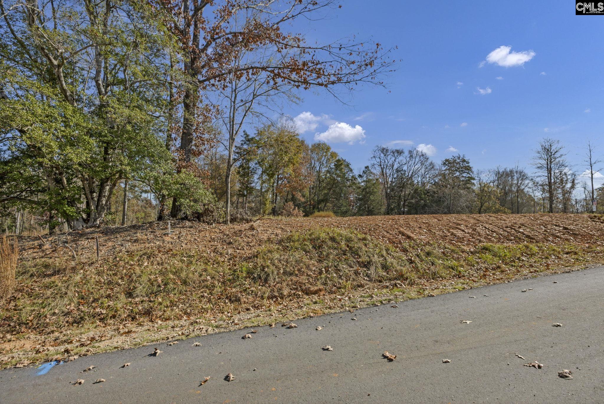 Lands Ends Lane UNIT Lot #207 Prosperity, SC 29127