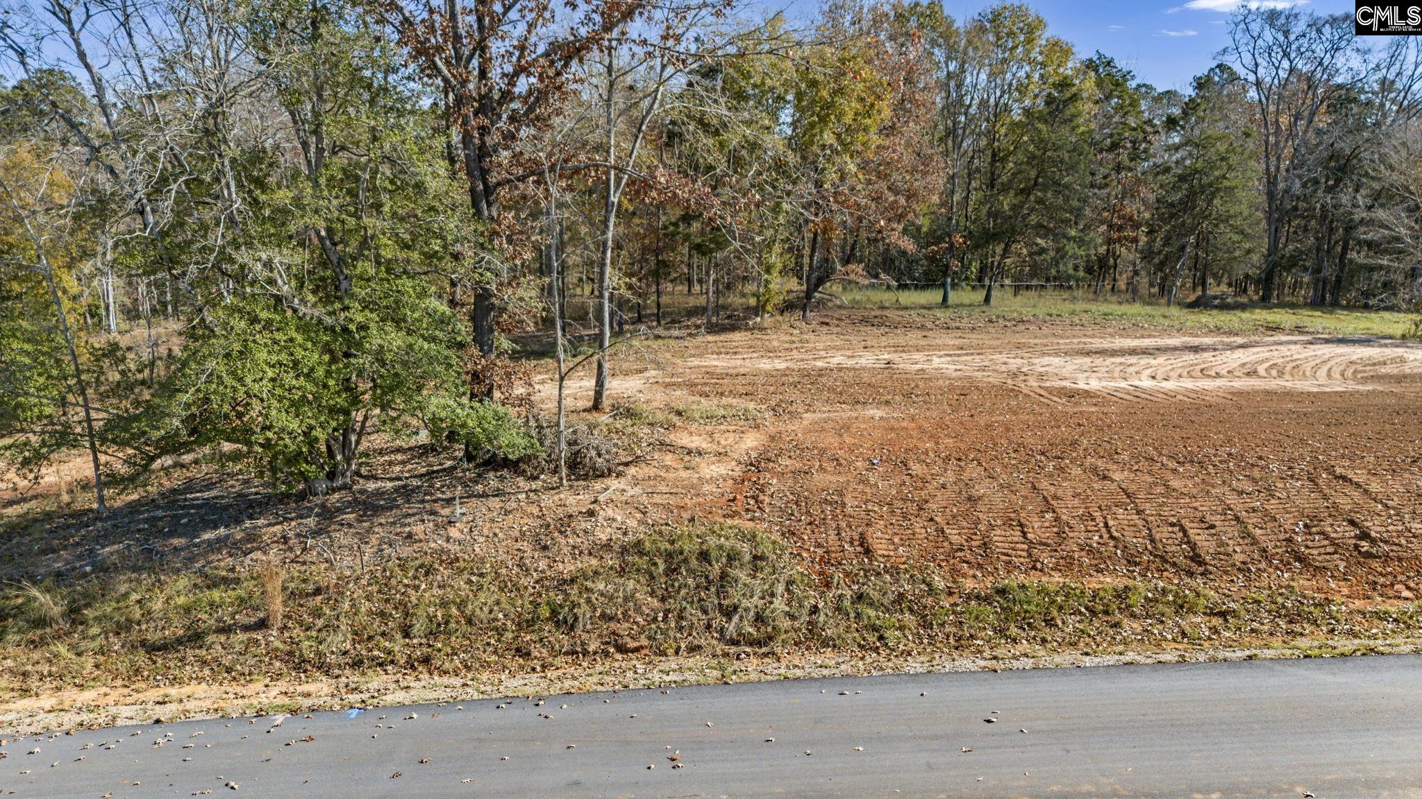 Lands Ends Lane UNIT Lot #207 Prosperity, SC 29127