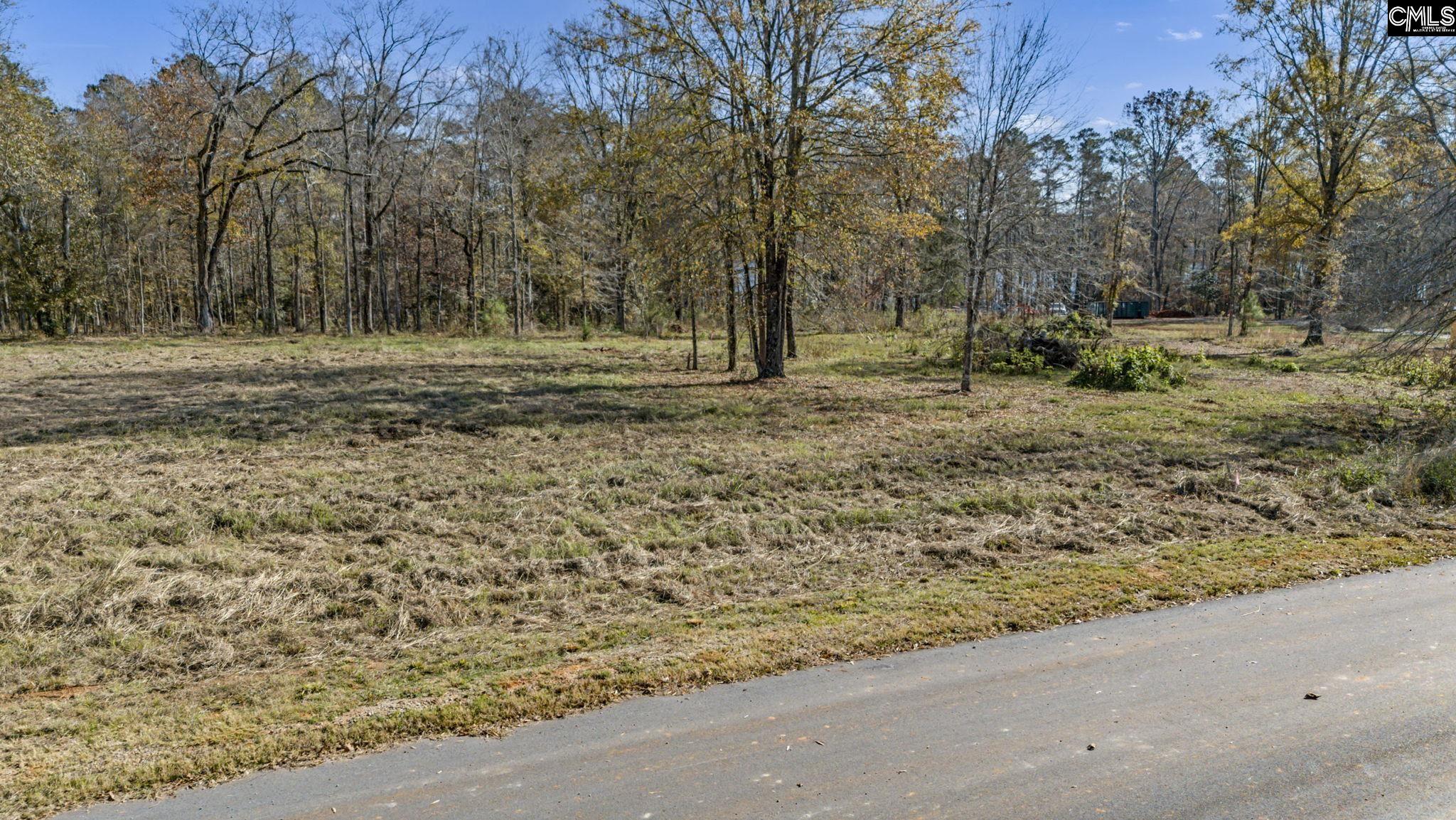 Lands End Lane UNIT Lot 209 Prosperity, SC 29127