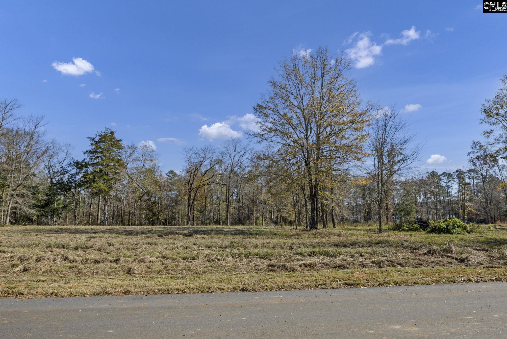 Lands End Lane UNIT Lot 209 Prosperity, SC 29127