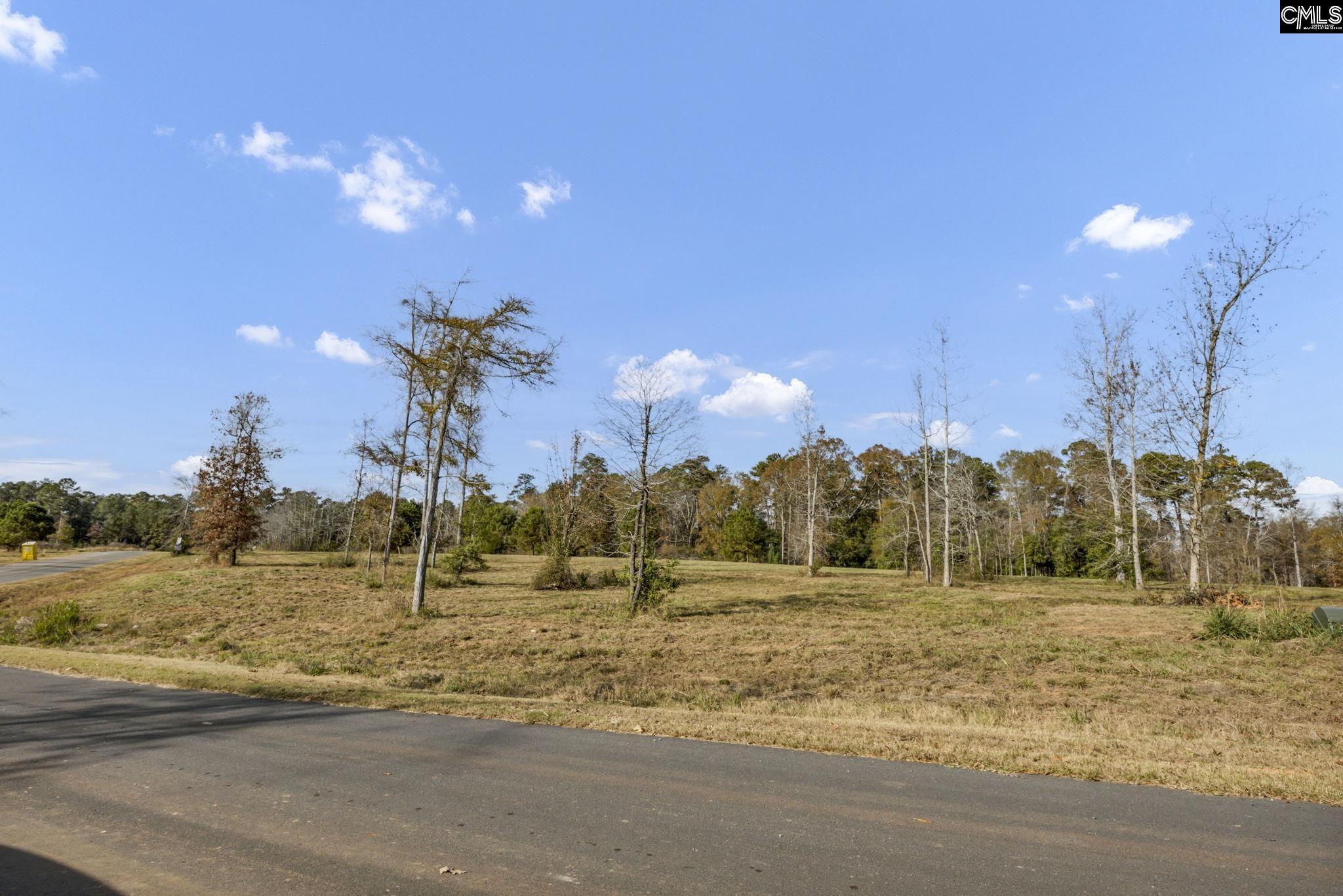 Woodside Shores Drive UNIT Lot #244 Prosperity, SC 29127