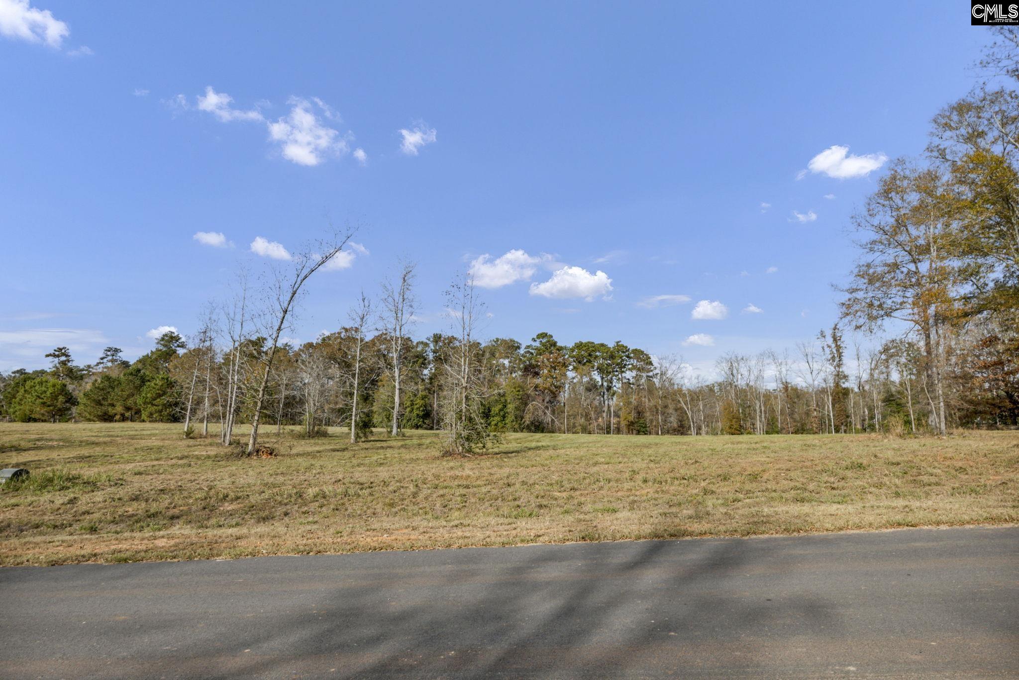 Woodside Shores Drive UNIT Lot #245 Prosperity, SC 29127