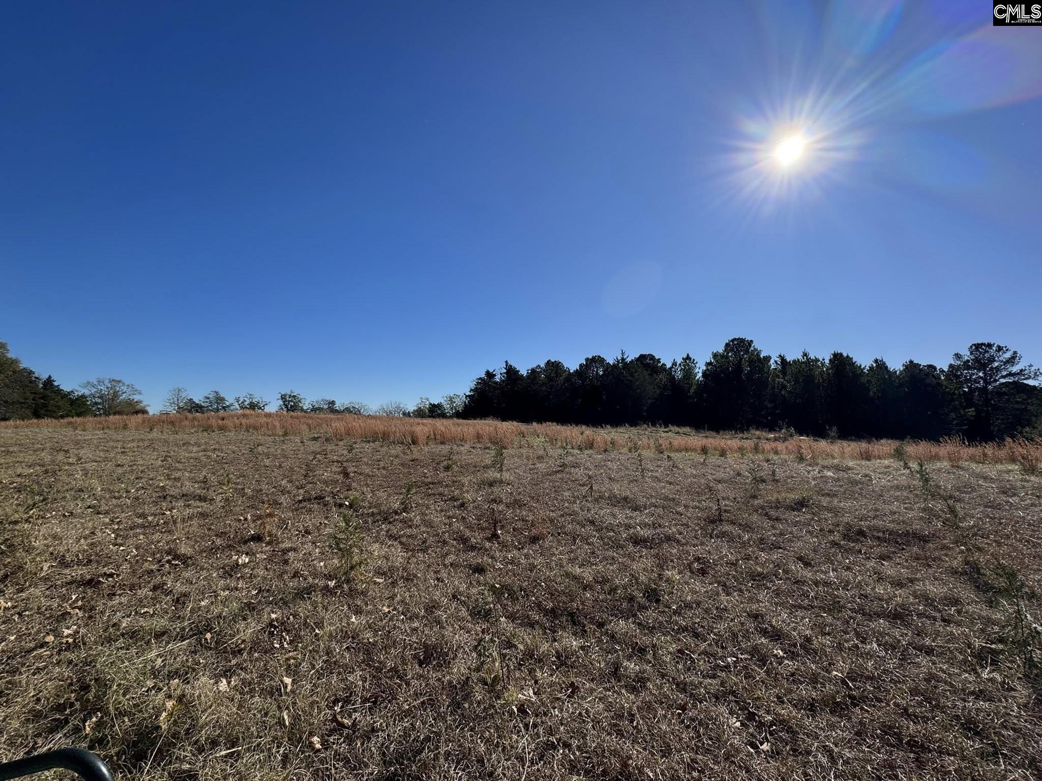 Sc Highway Jenkinsville, SC 29065