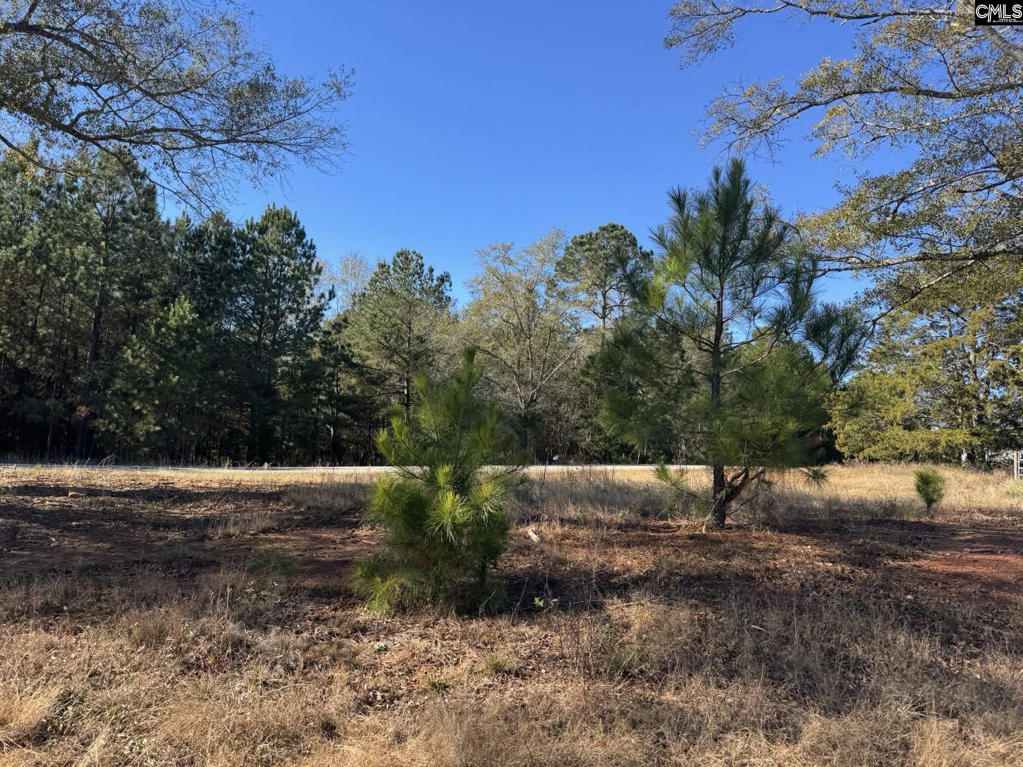 Sc Highway Jenkinsville, SC 29065