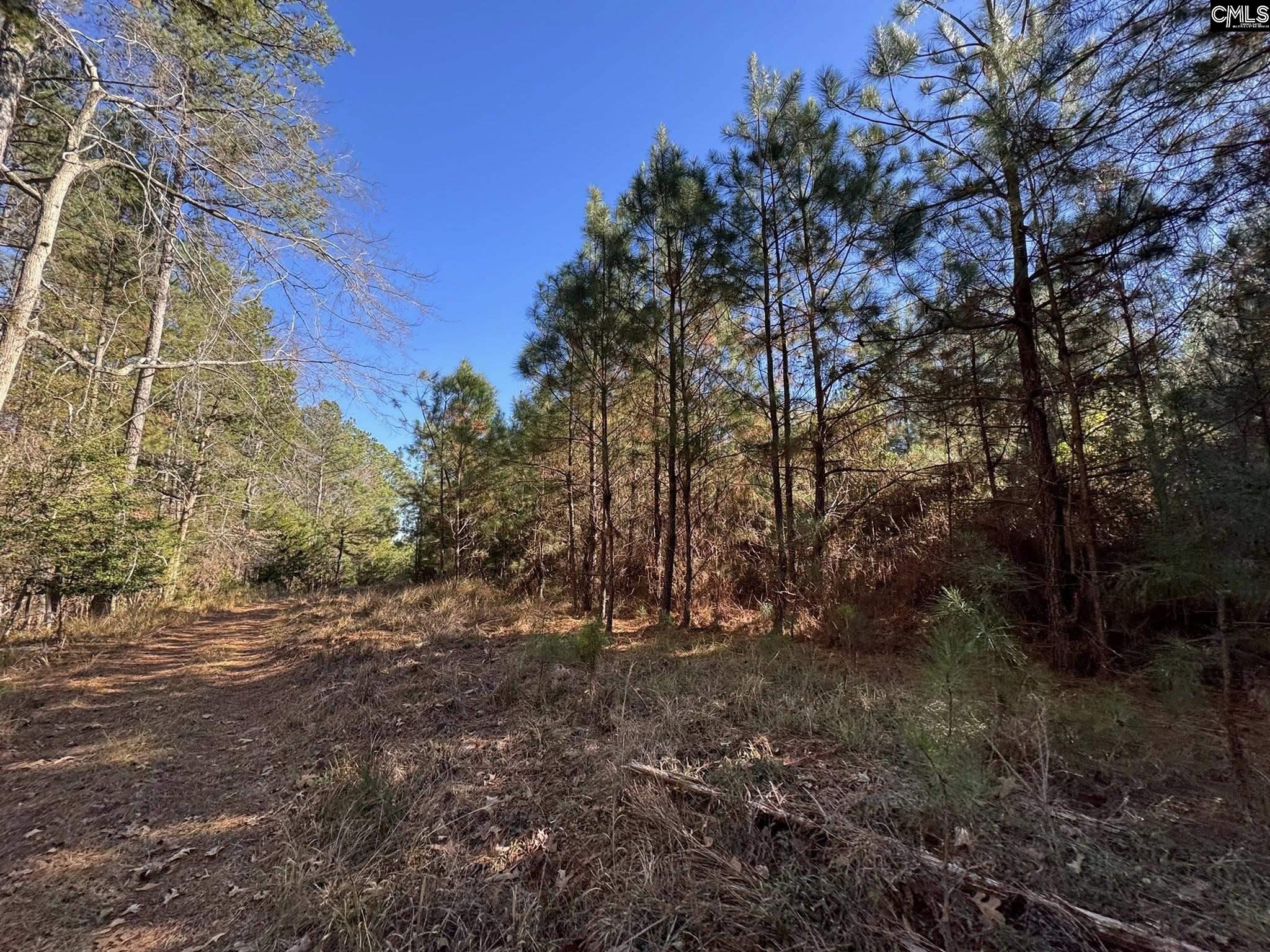 Sc Highway Jenkinsville, SC 29065