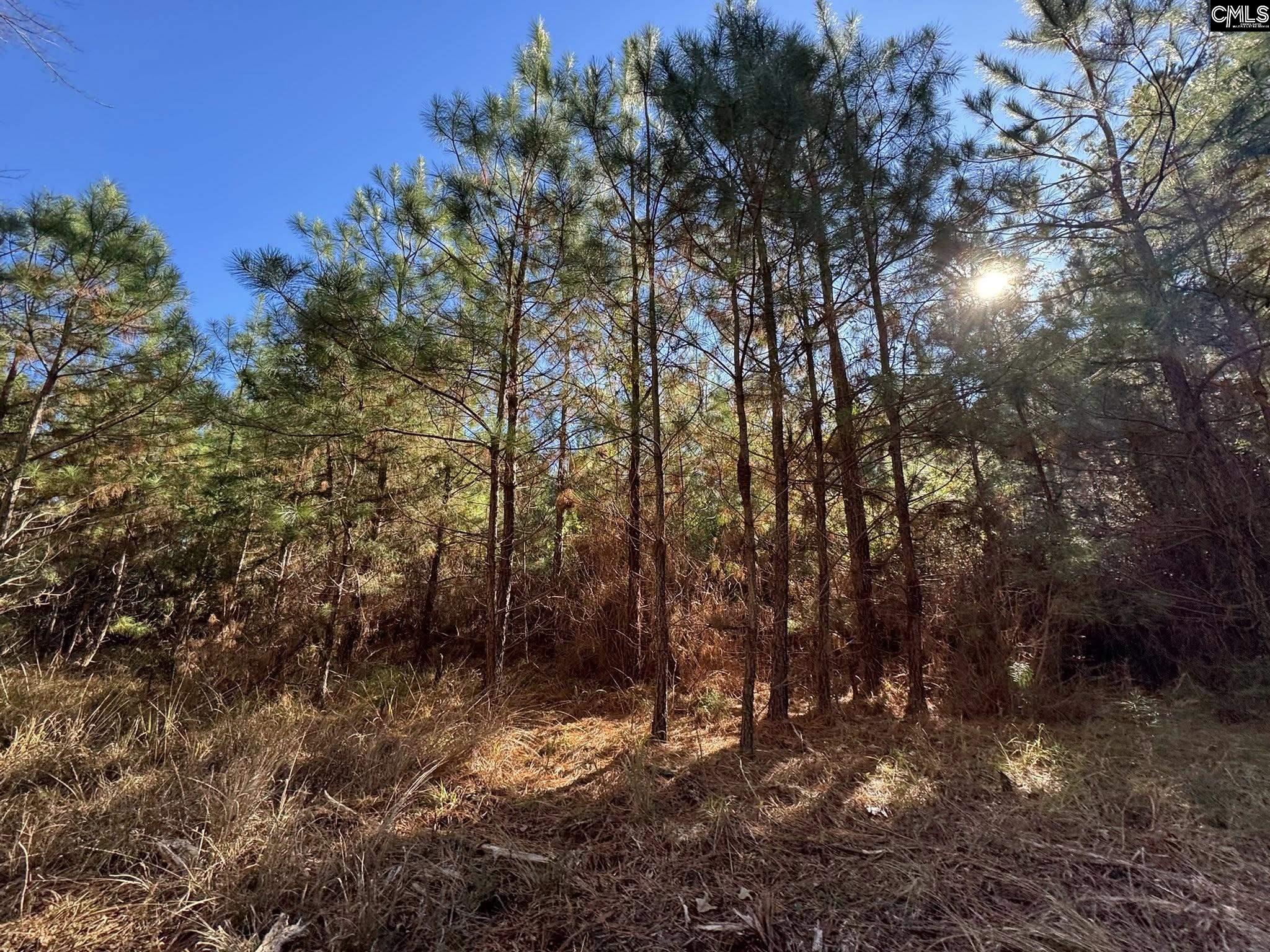 Sc Highway Jenkinsville, SC 29065