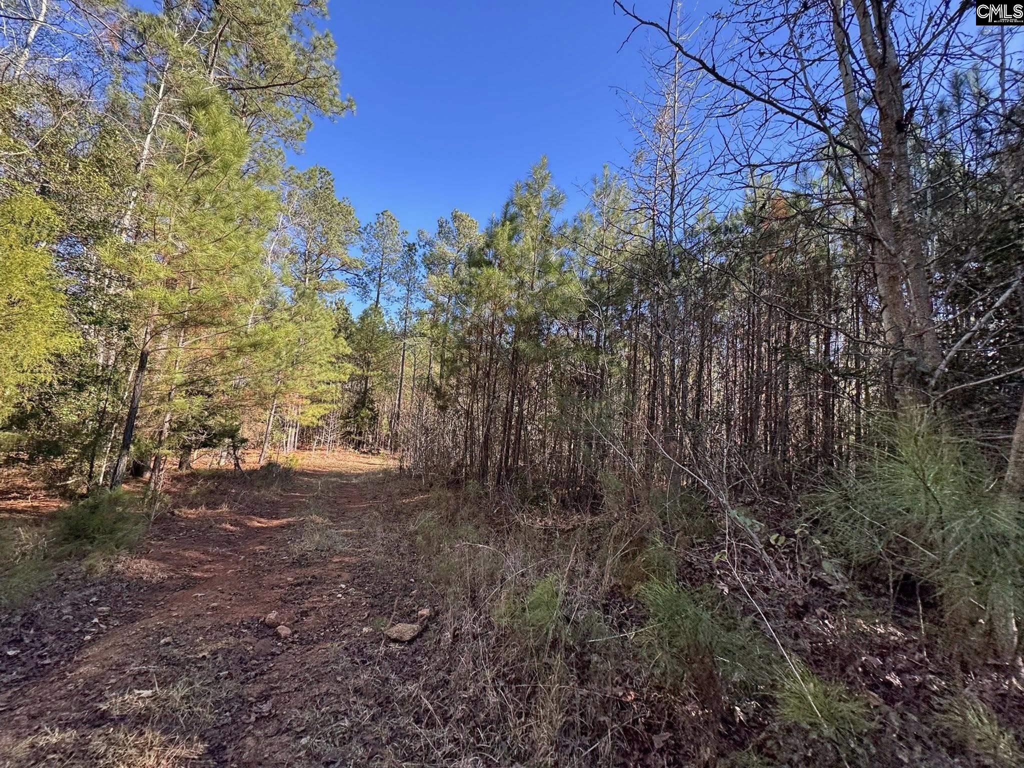 Sc Highway Jenkinsville, SC 29065