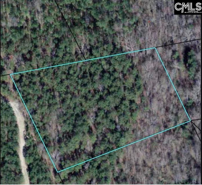 1310 Bellfield Road Ridgeway, SC 29130