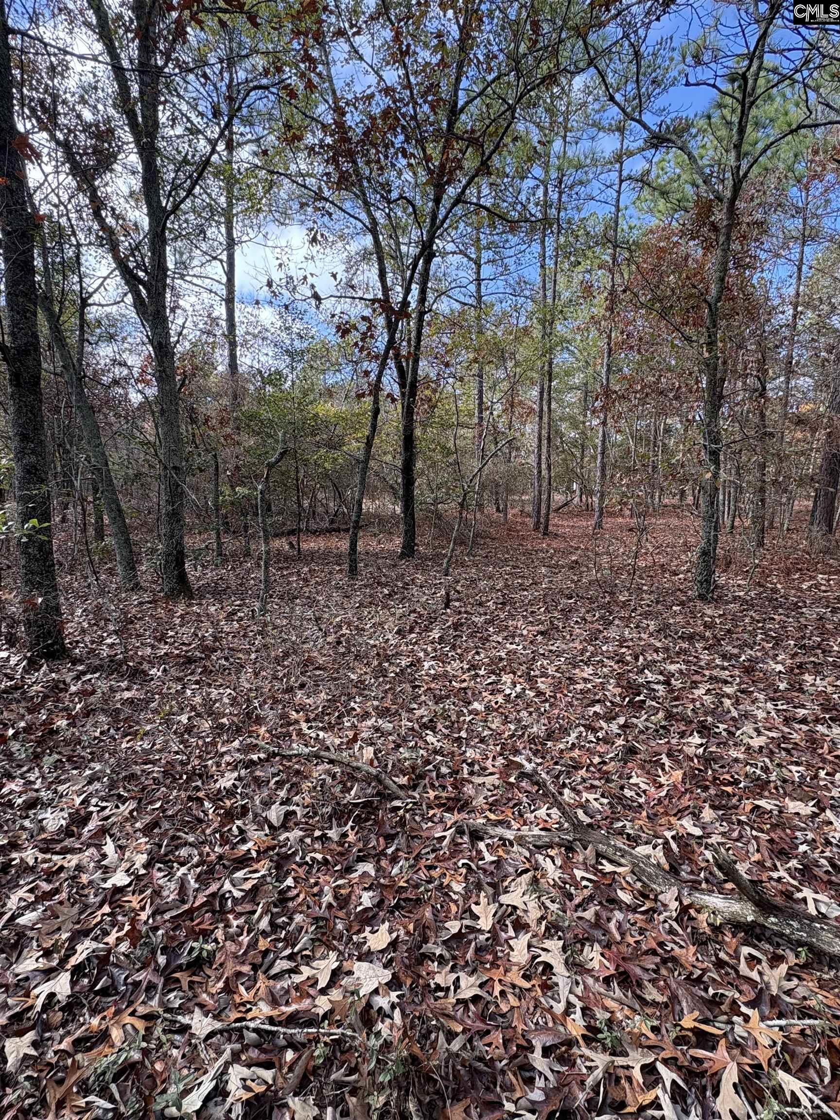 3516 Hardscrabble Road Columbia, SC 29223