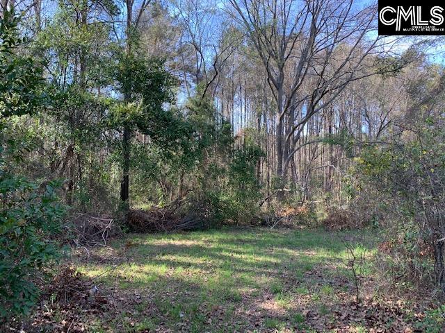 431 Main Street Blythewood, SC 29016