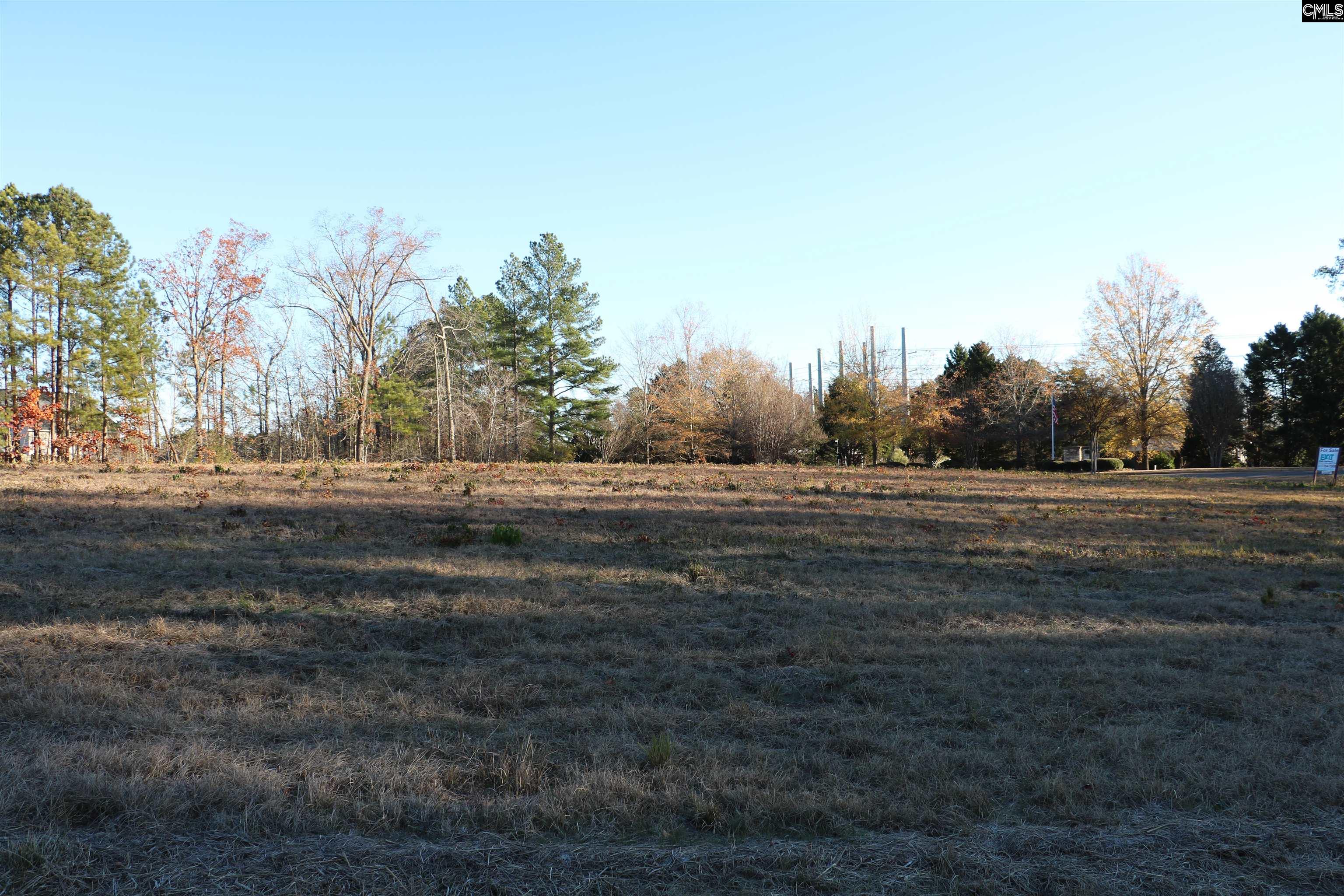 Bethany Drive Irmo, SC 29063