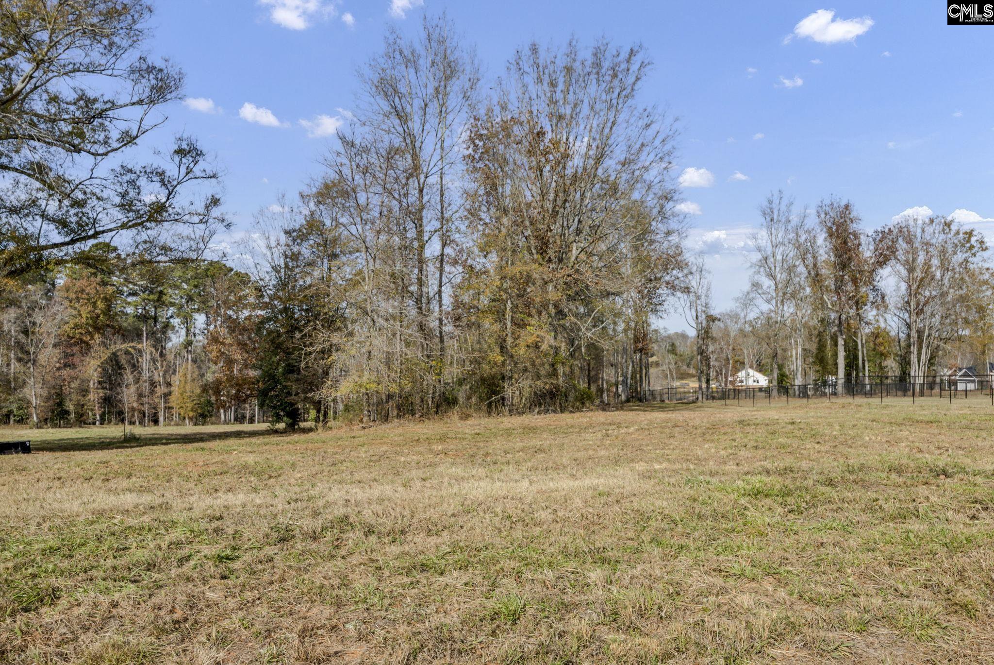 Woodside Shores Drive UNIT Lot #247 Prosperity, SC 29127