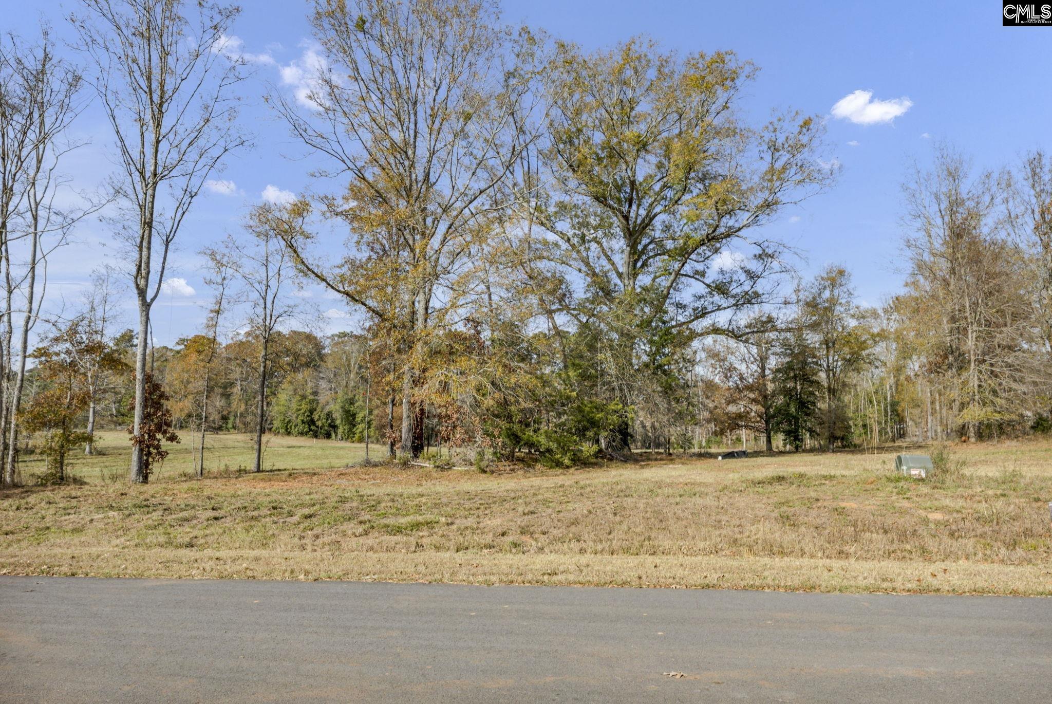 Woodside Shores Drive UNIT Lot 246 Prosperity, SC 29127