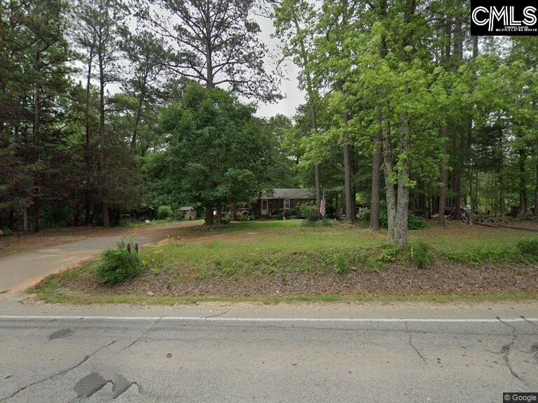 534 Columbia Avenue Chapin, SC 29036