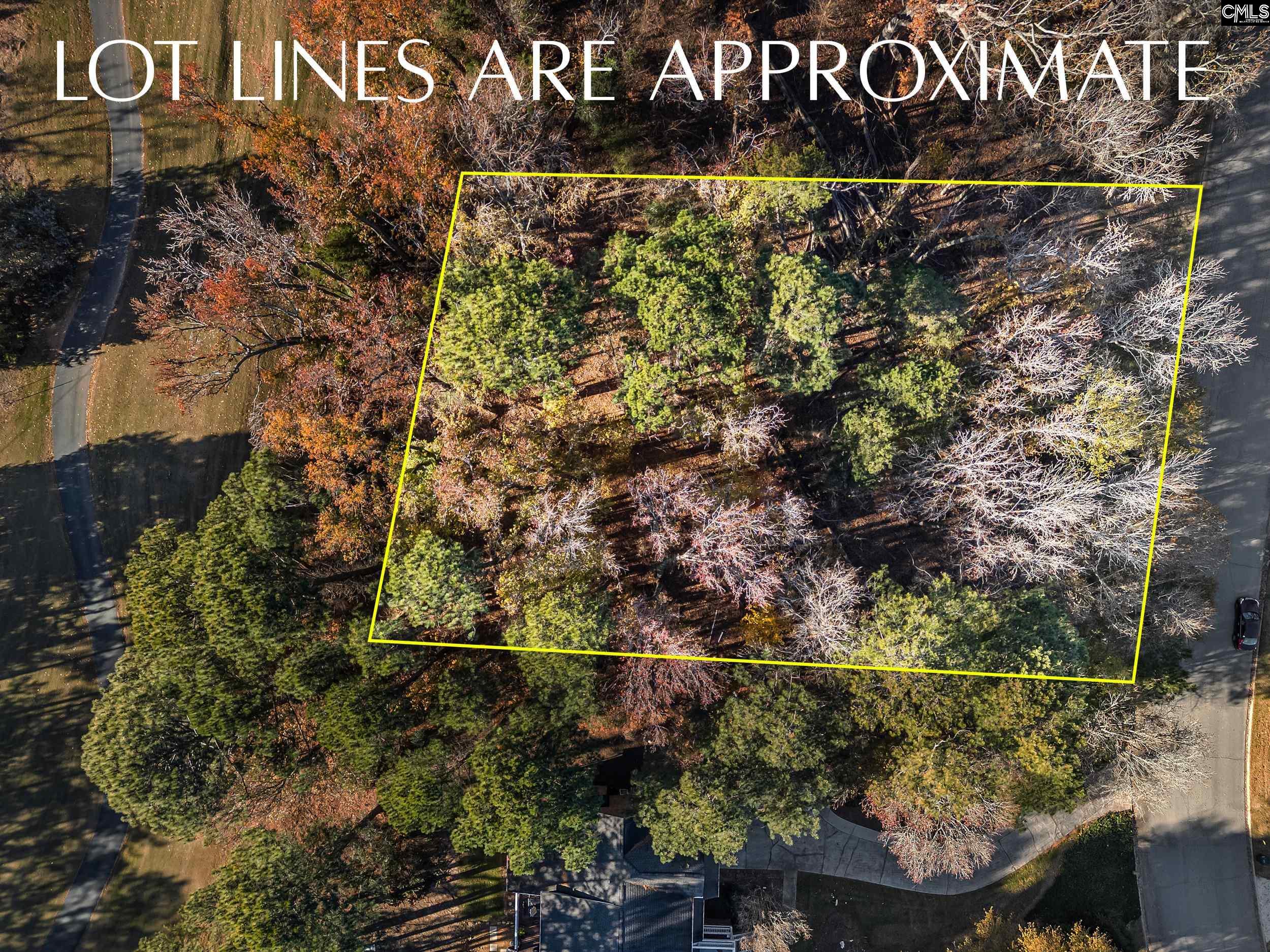 126 Lake Summit Drive Chapin, SC 29036