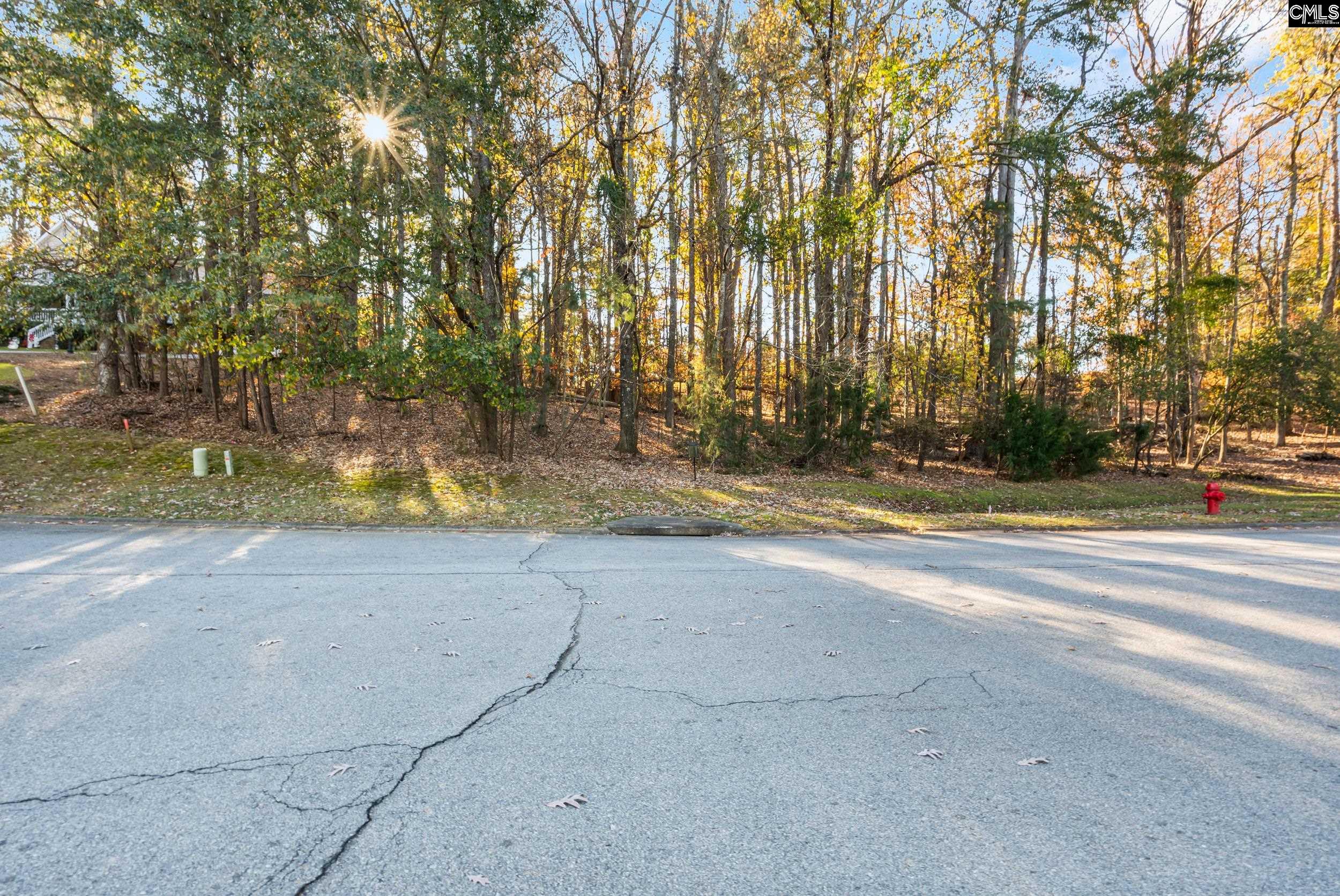 126 Lake Summit Drive Chapin, SC 29036