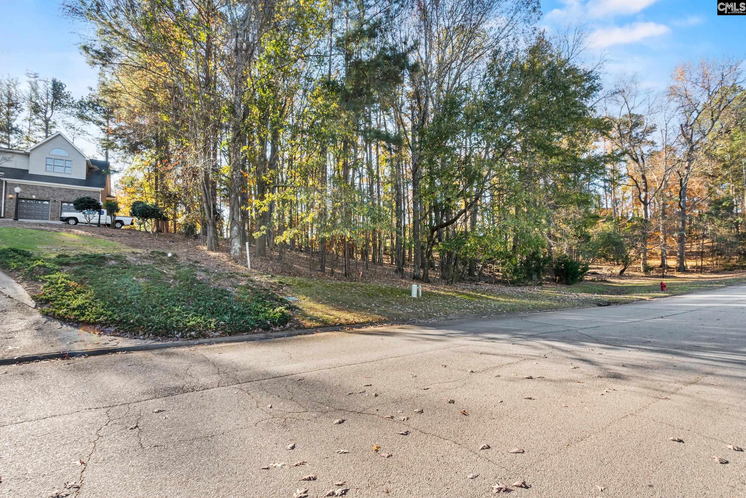 126 Lake Summit Drive Chapin, SC 29036