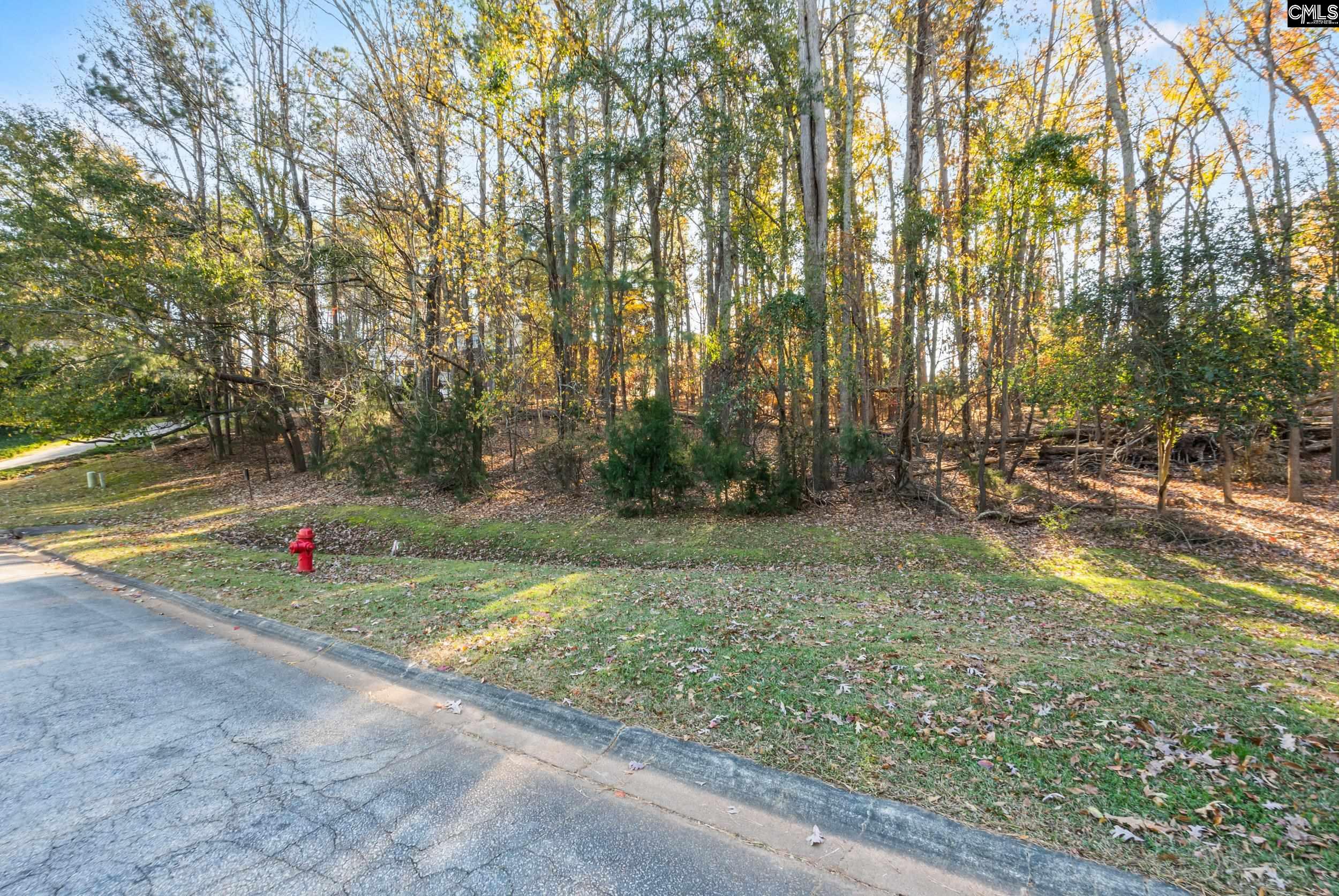 126 Lake Summit Drive Chapin, SC 29036
