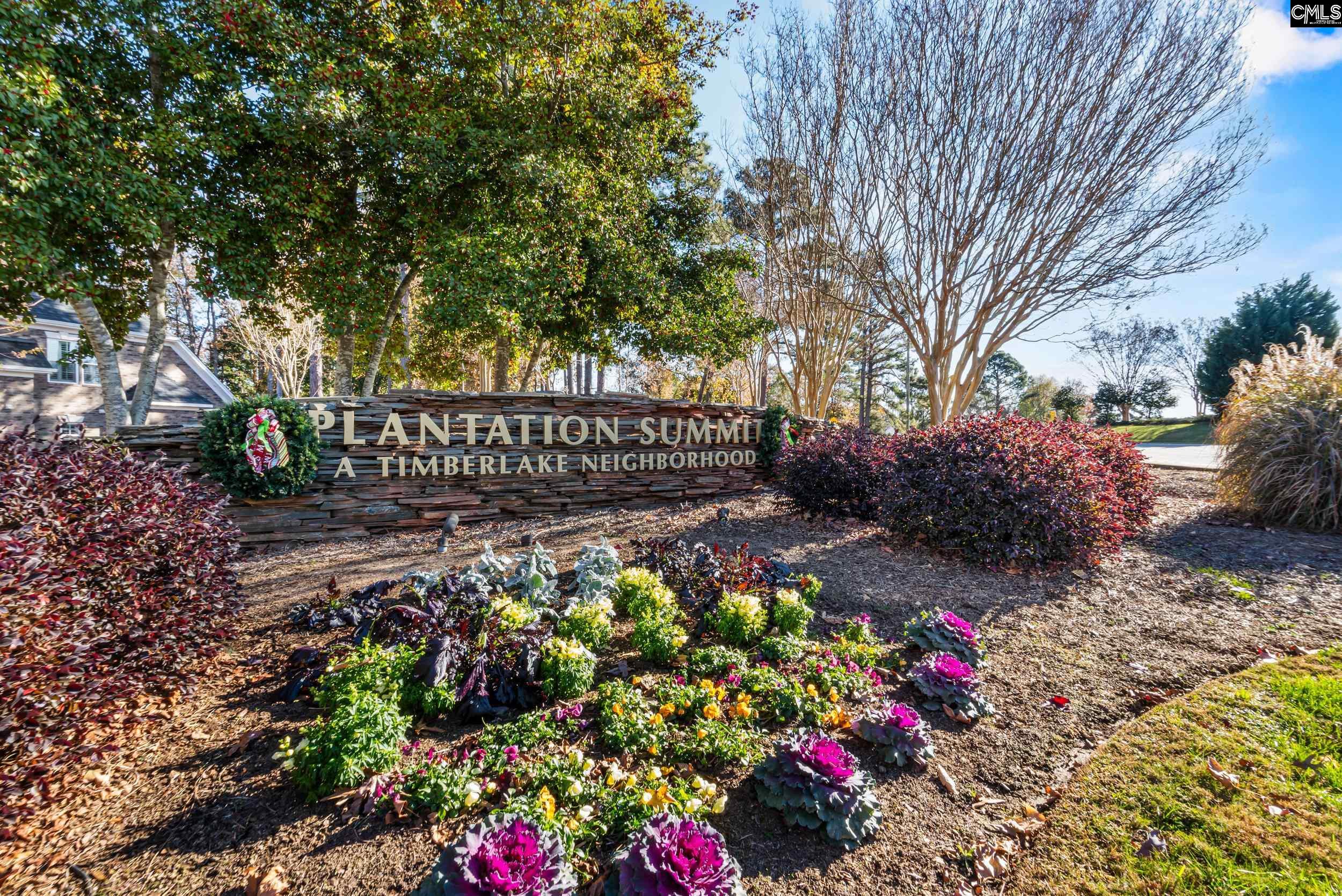 126 Lake Summit Drive Chapin, SC 29036