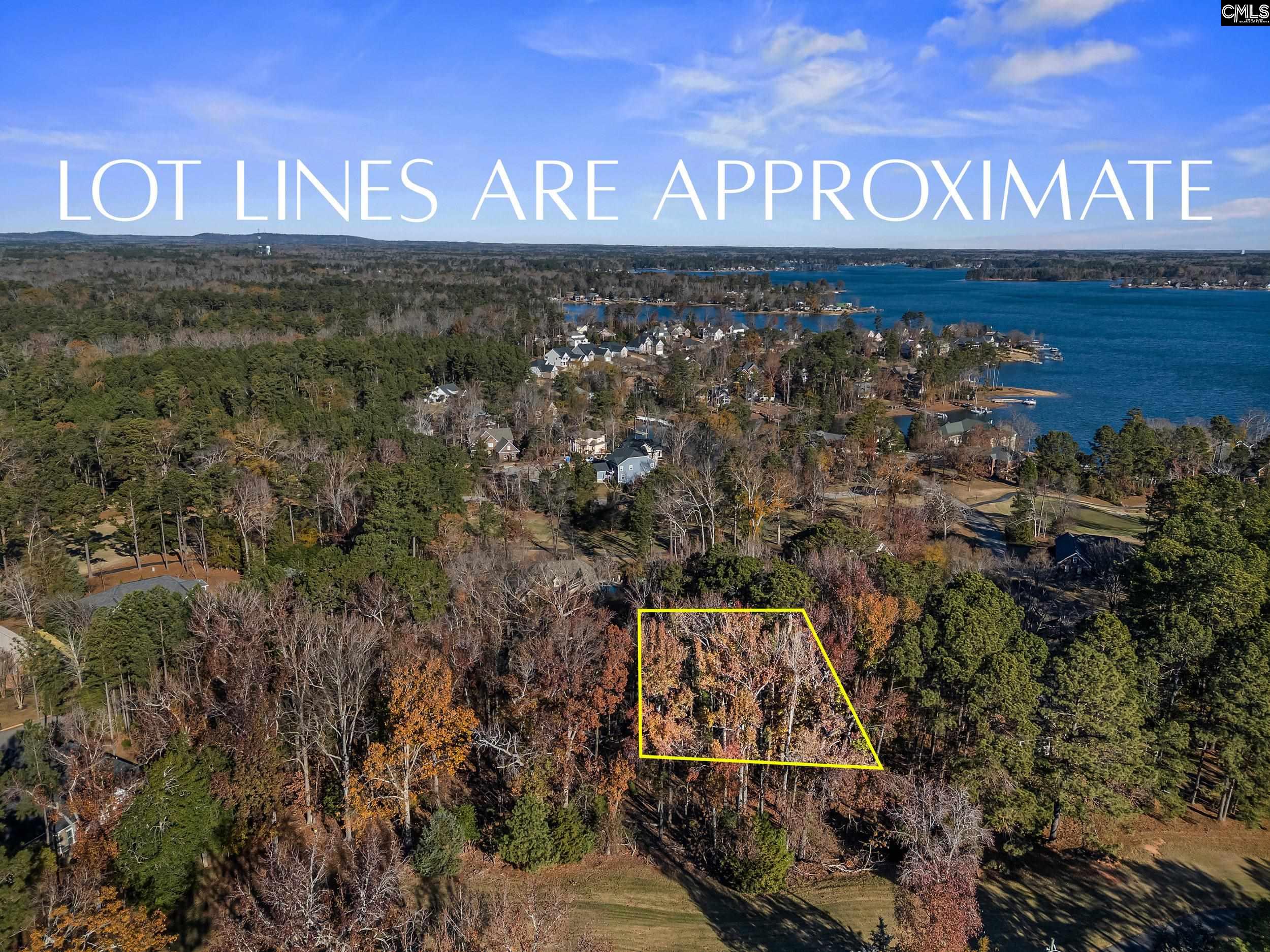 126 Lake Summit Drive Chapin, SC 29036