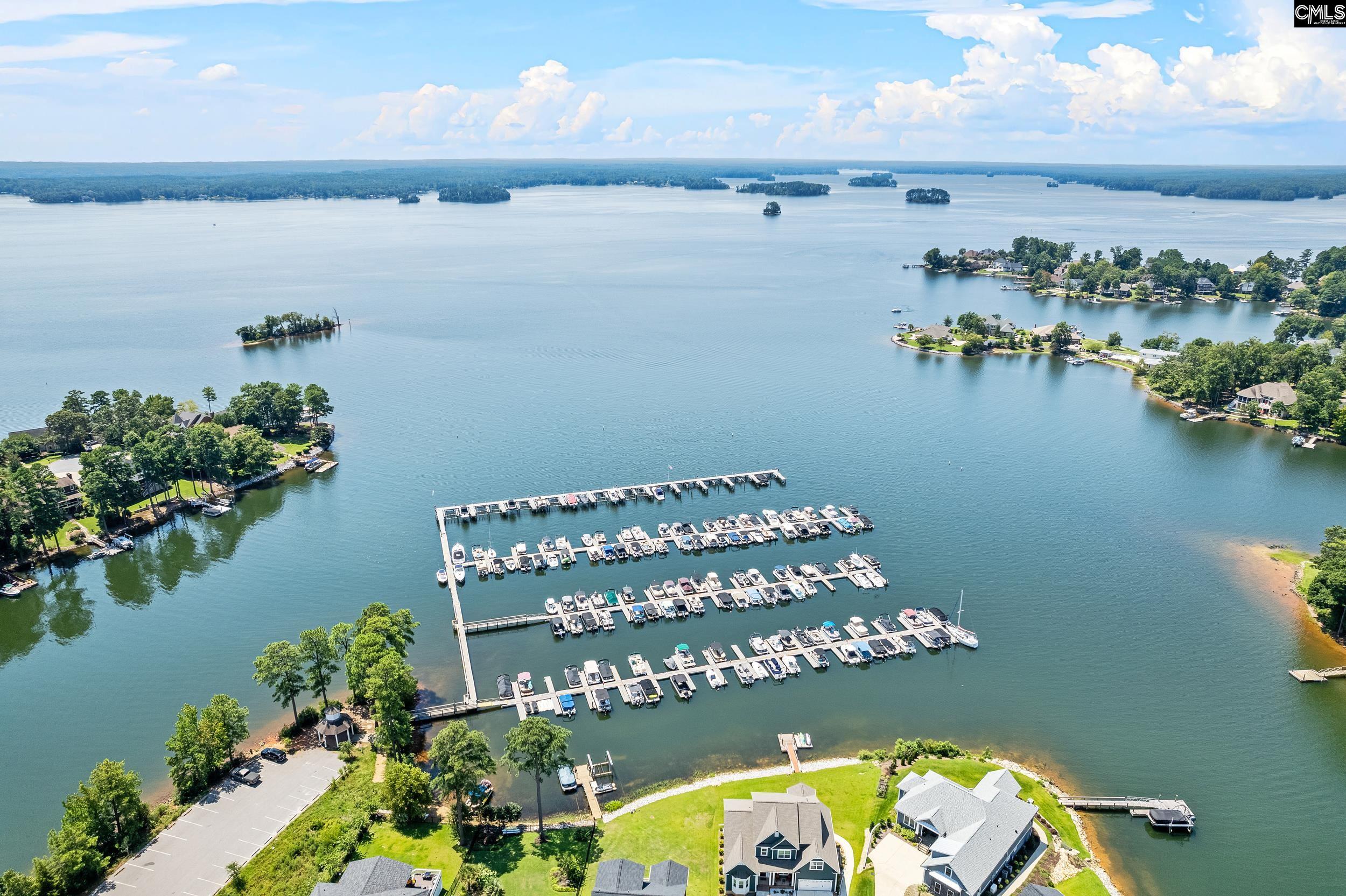 126 Lake Summit Drive Chapin, SC 29036
