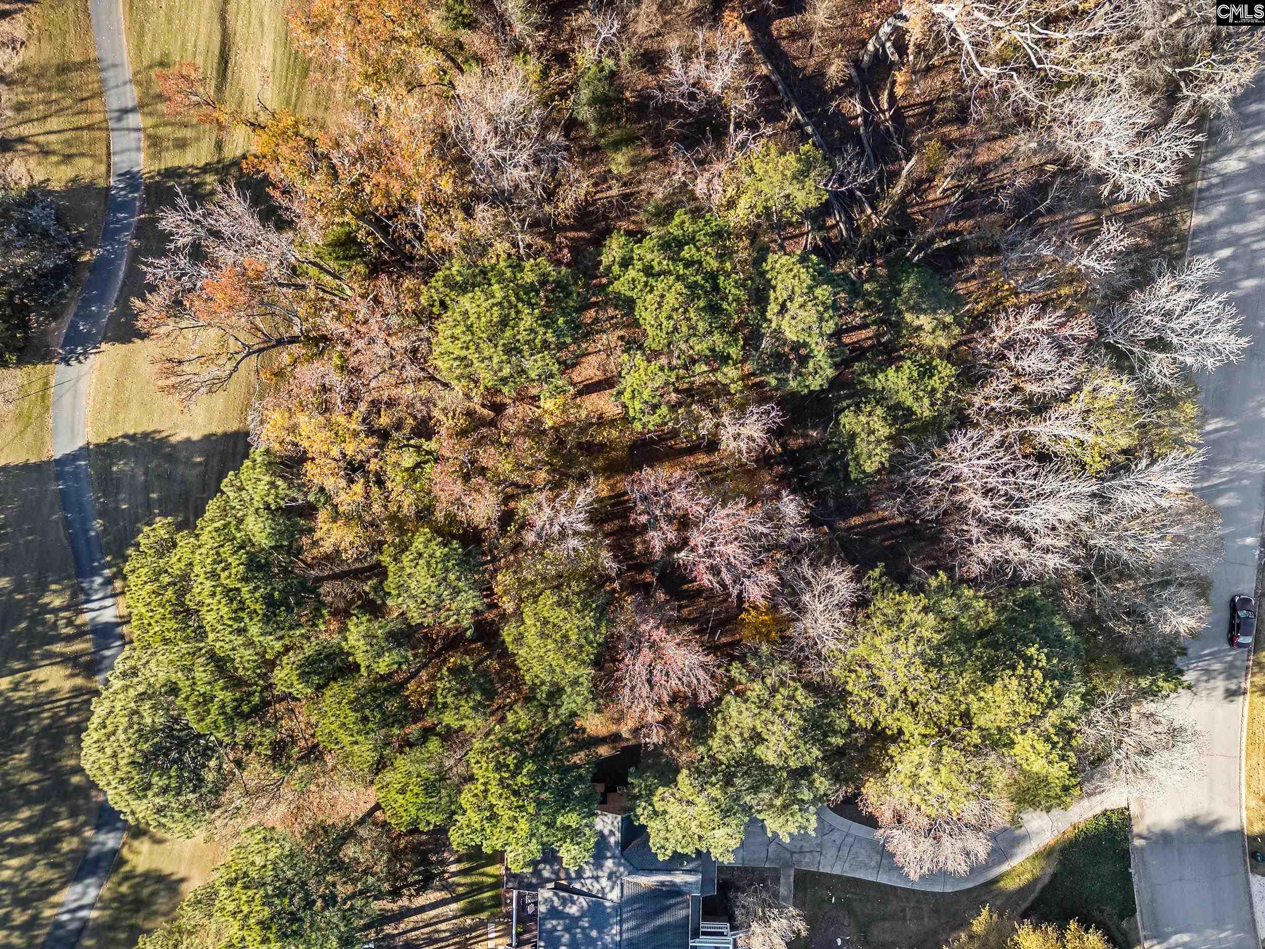 126 Lake Summit Drive Chapin, SC 29036