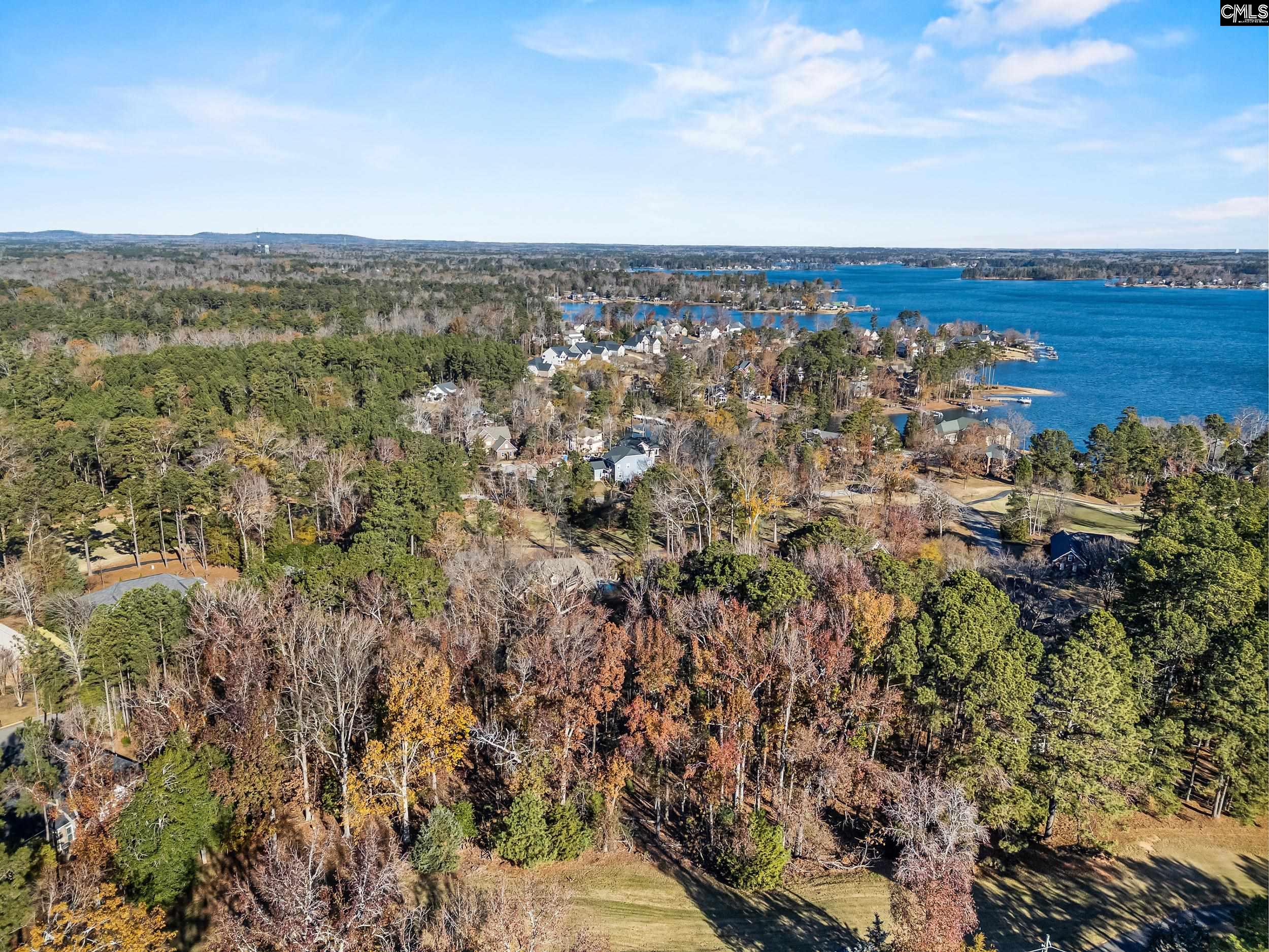 126 Lake Summit Drive Chapin, SC 29036
