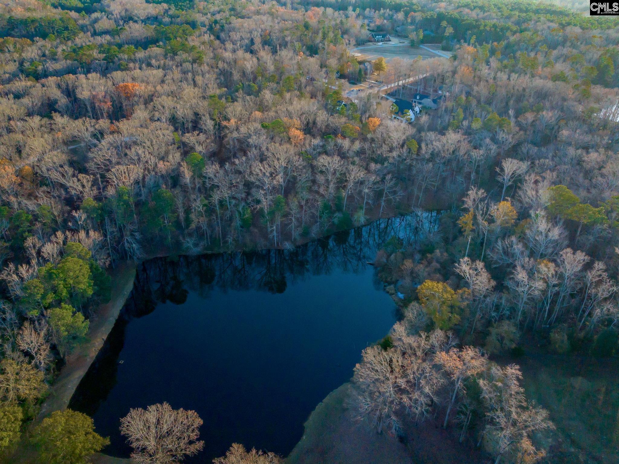 341 Rocky Meadow Drive Gilbert, SC 29054
