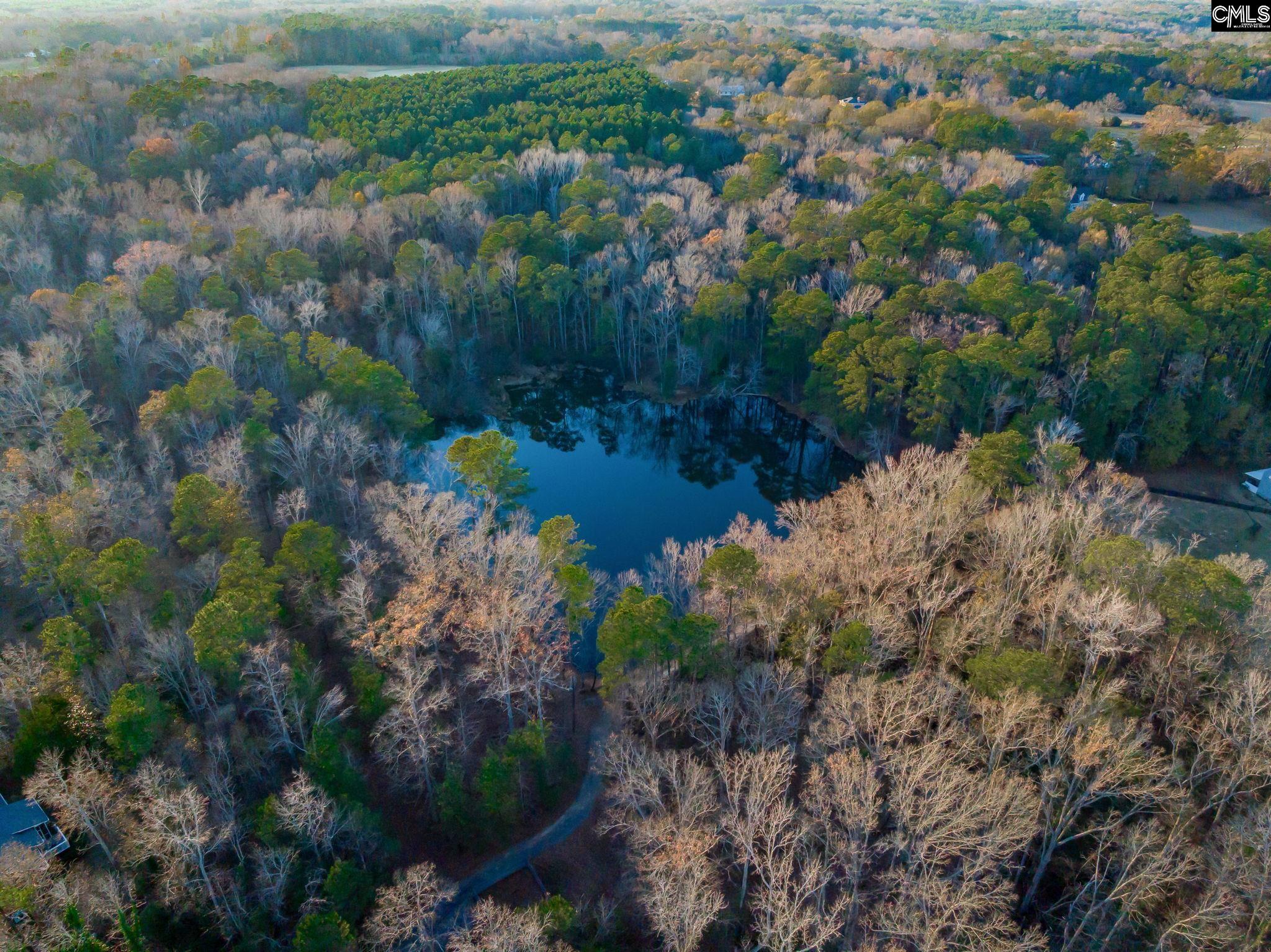 341 Rocky Meadow Drive Gilbert, SC 29054