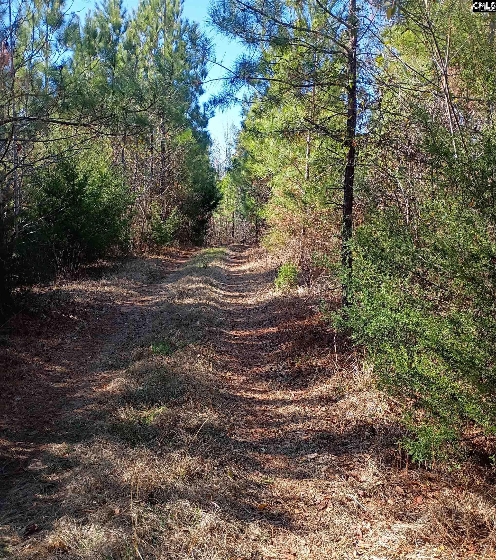 1163 Juneberry Rd Camden, SC 29020